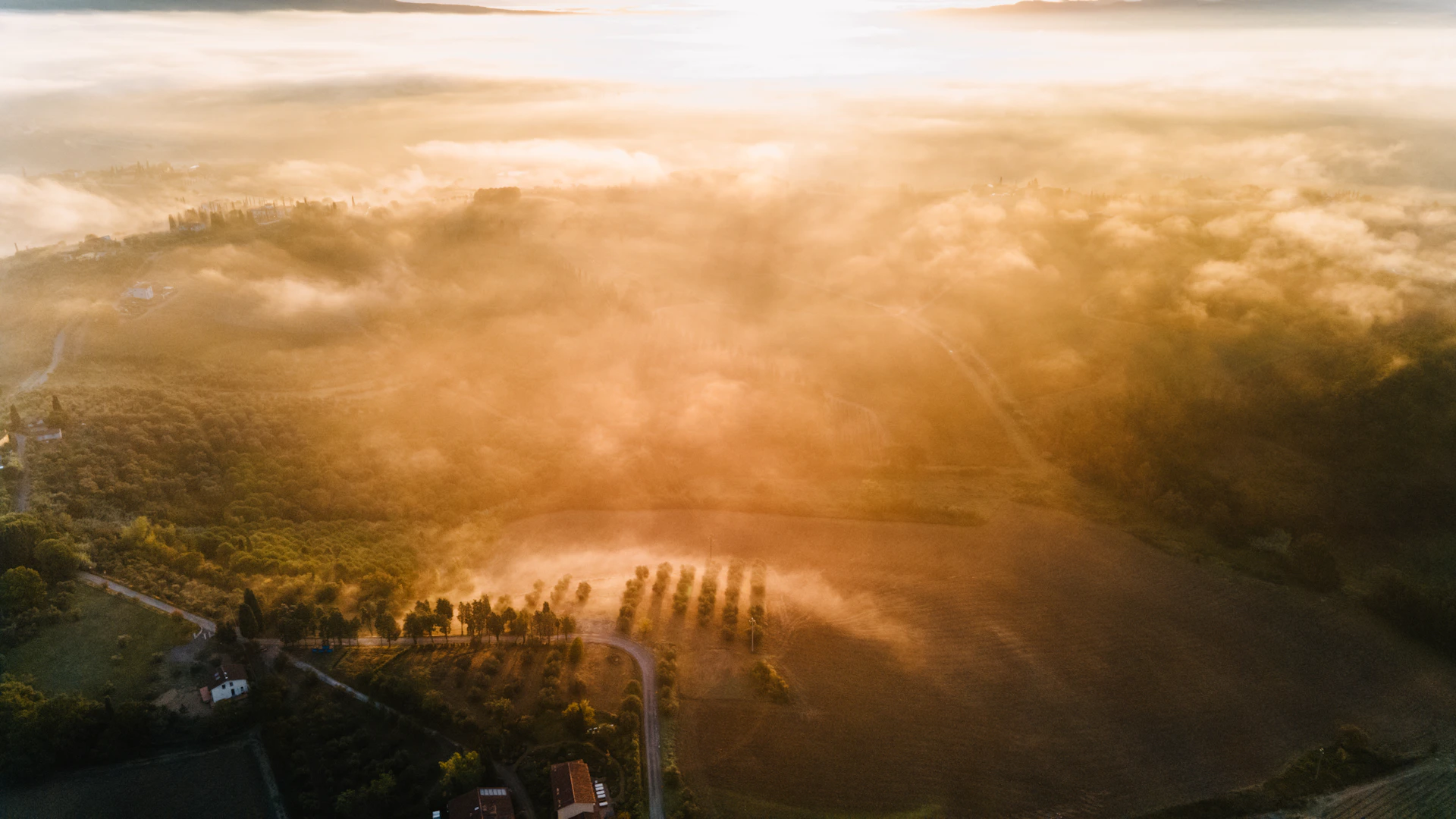 Golden sunrise over misty rural landscape