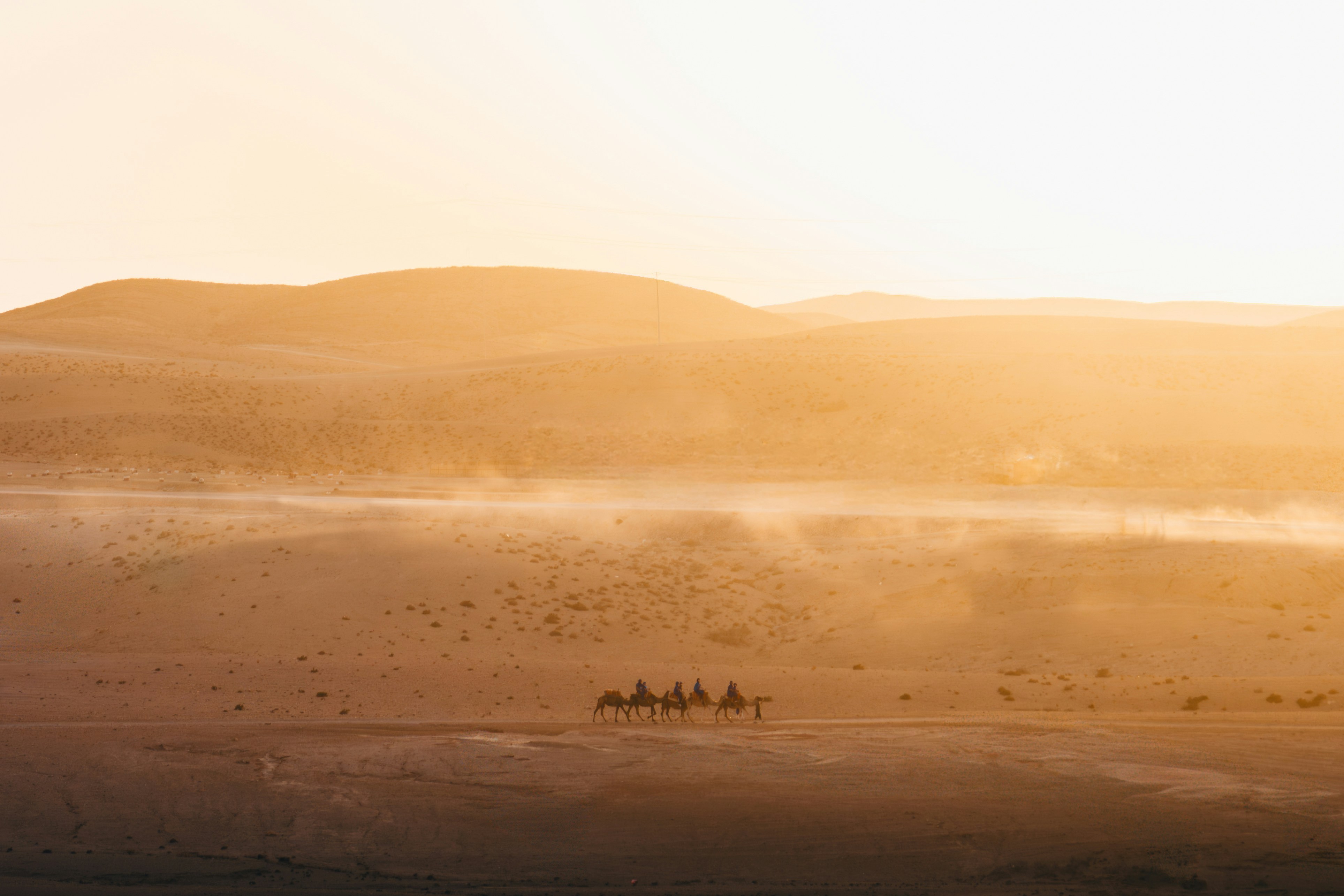 Caravan of camels walking through misty desert dunes at sunset