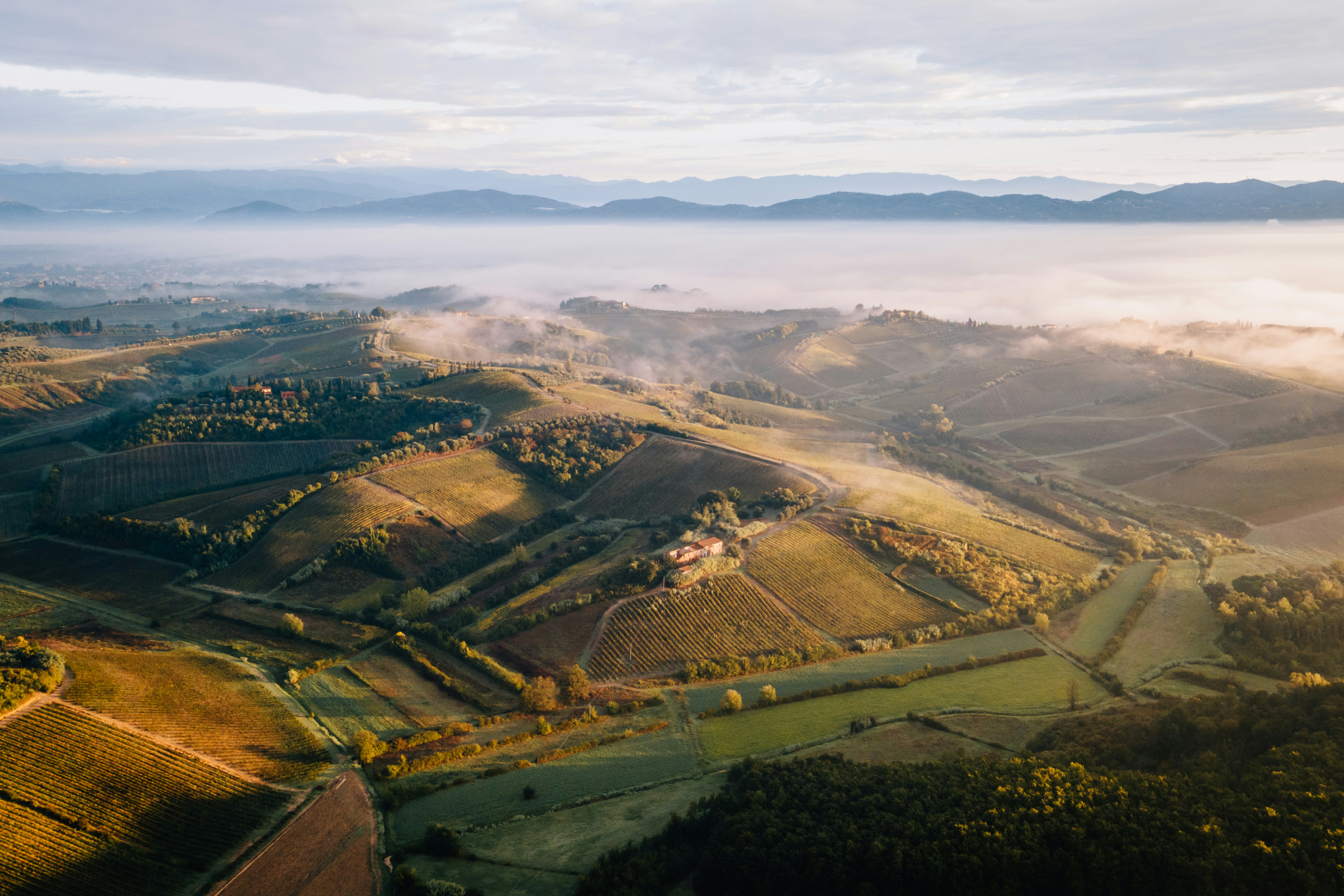 Photo by lifeof_peter_