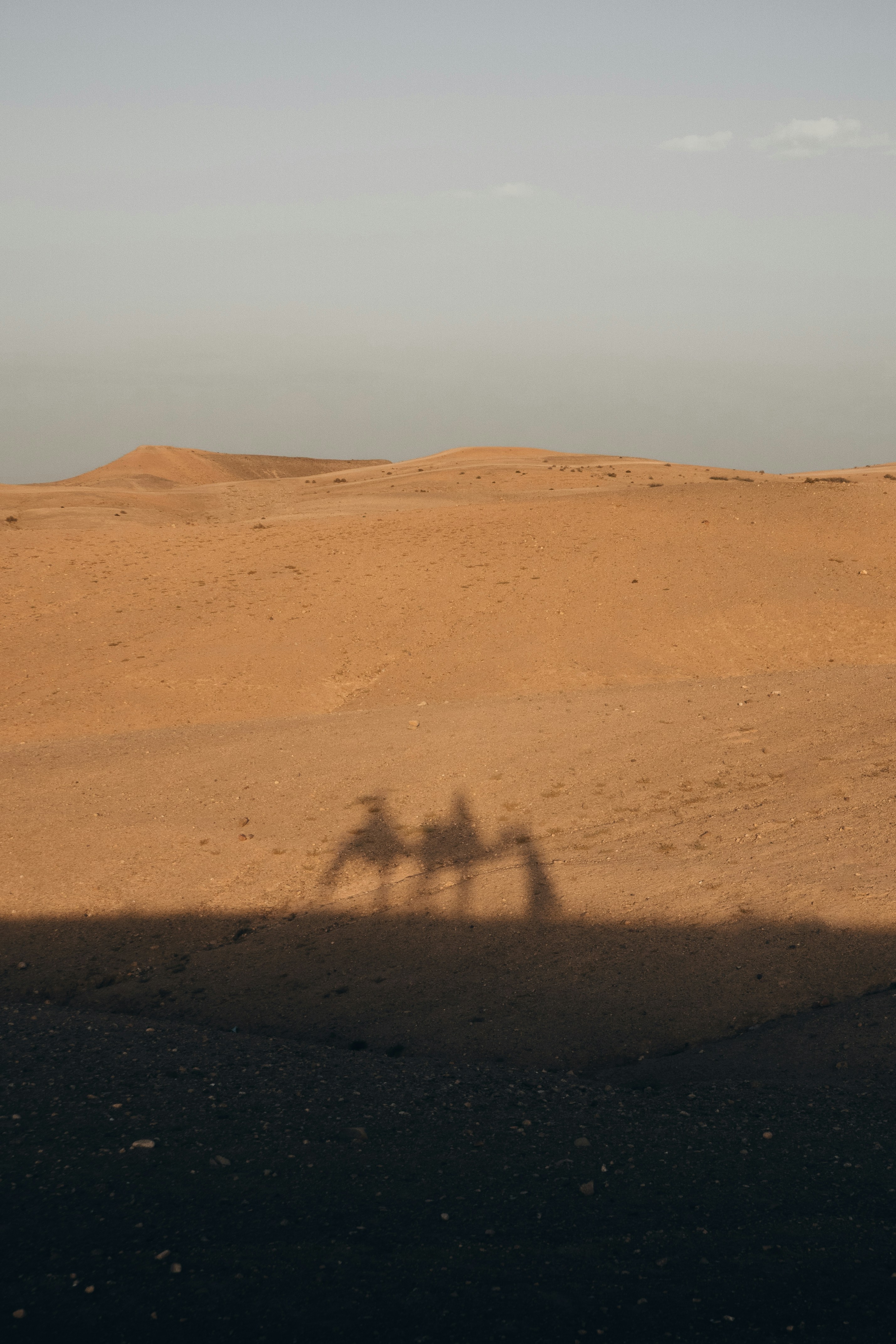 familia disfrutando del desierto de Marruecos