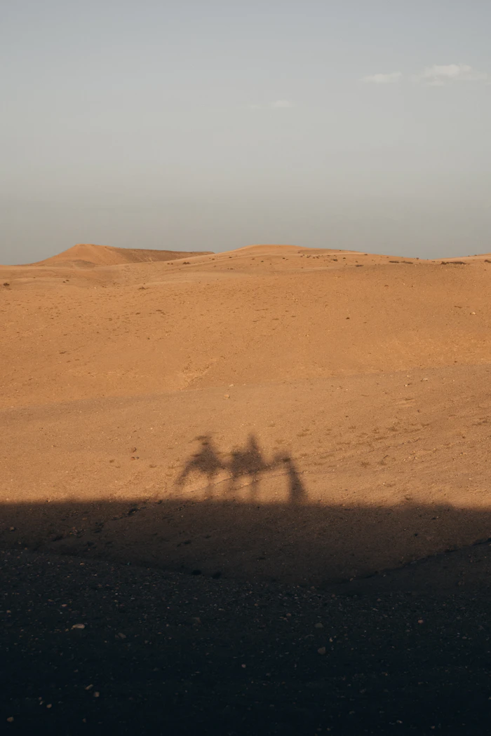 Marrakech — photo 5