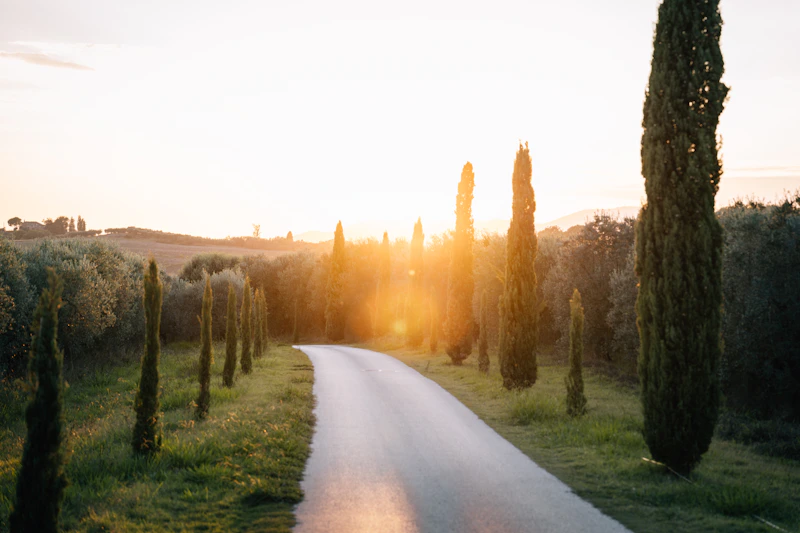 Gravel road lined with cypresses climbing toward a farmhouse on a distant Tuscan ridge at sunset.