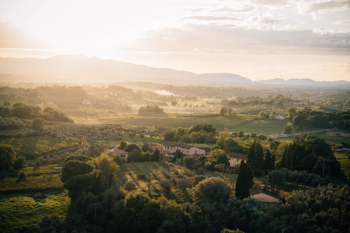 Rolling Tuscan hills at golden sunset