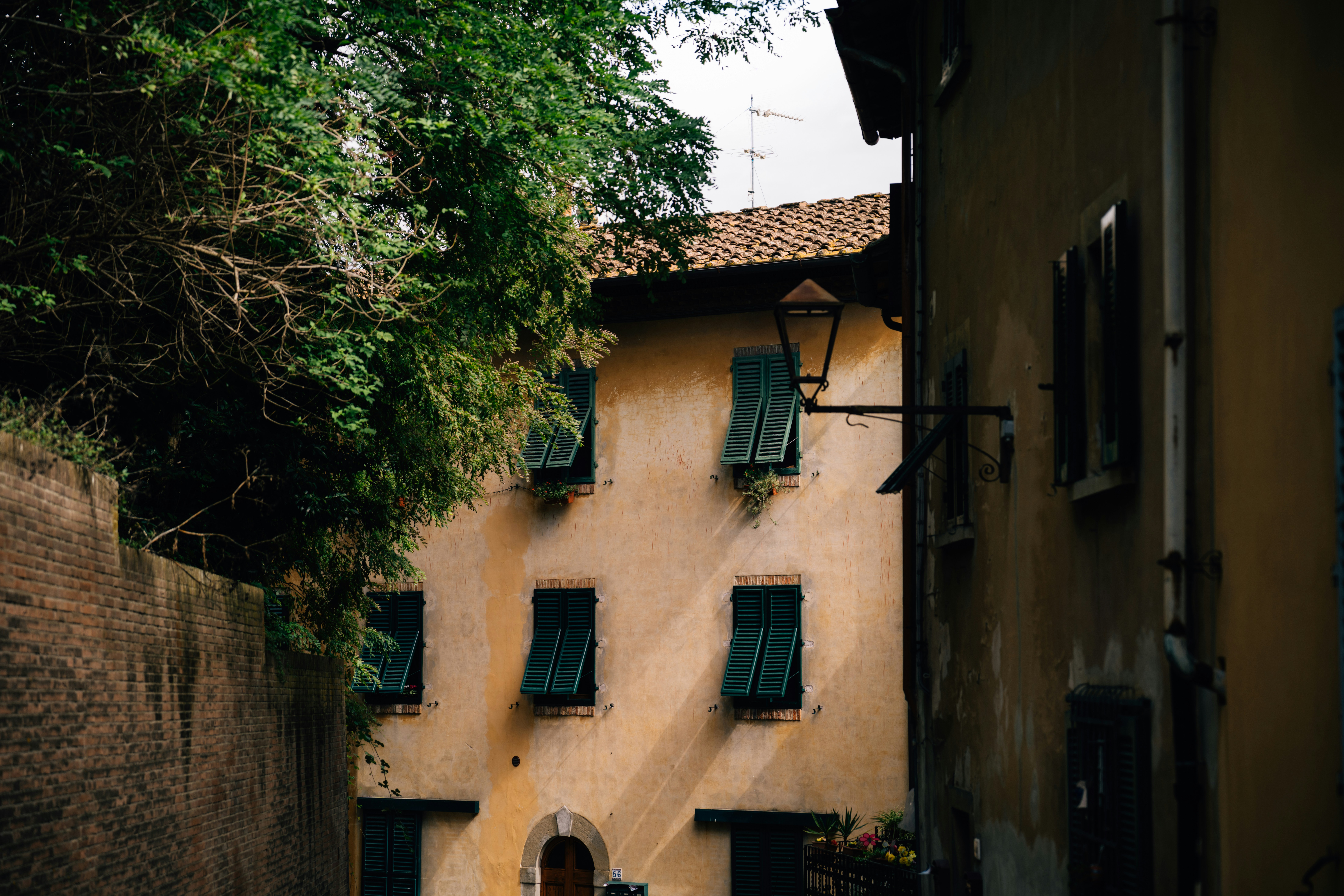 Photo by lifeof_peter_