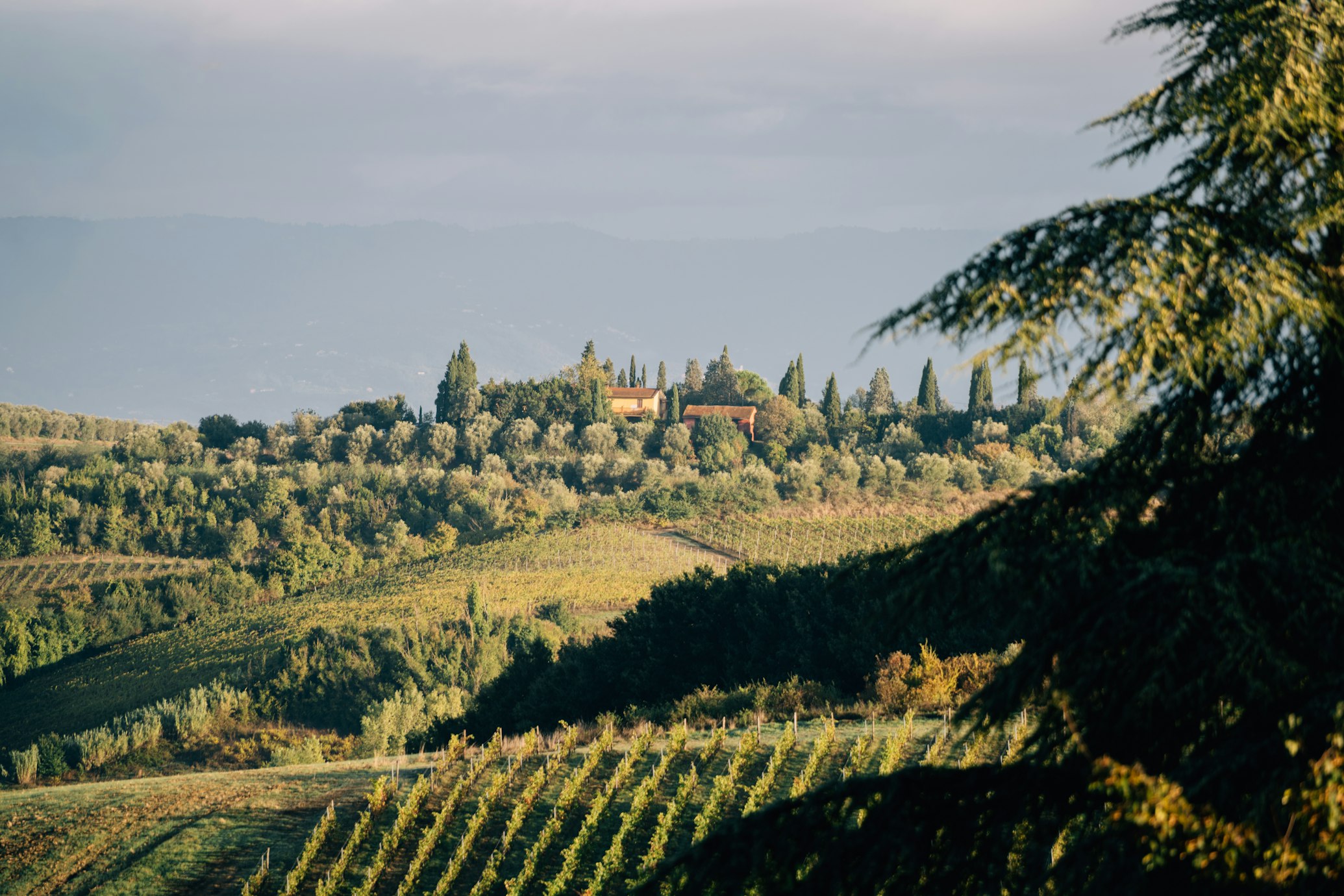 Monferrato
