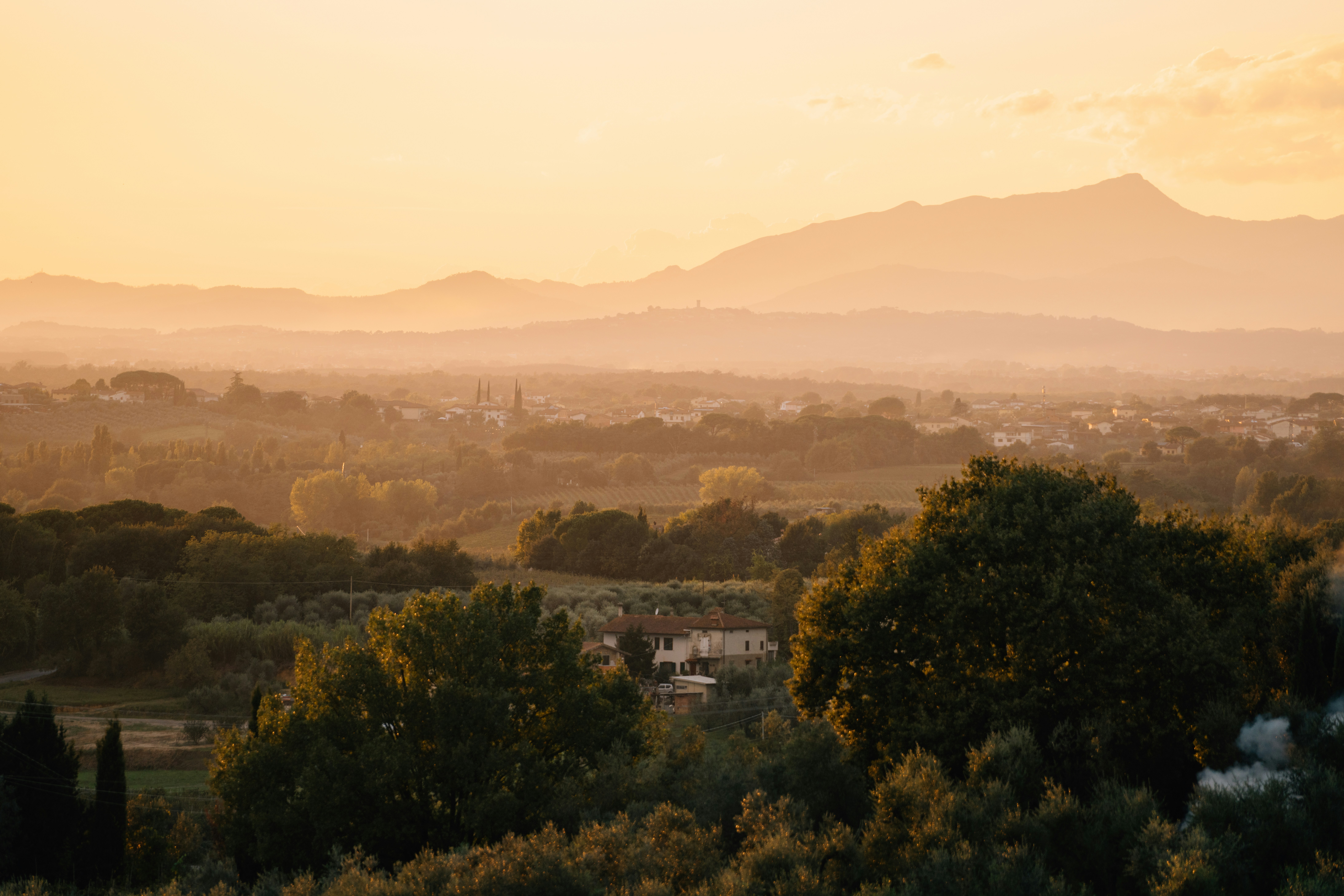 Photo by lifeof_peter_