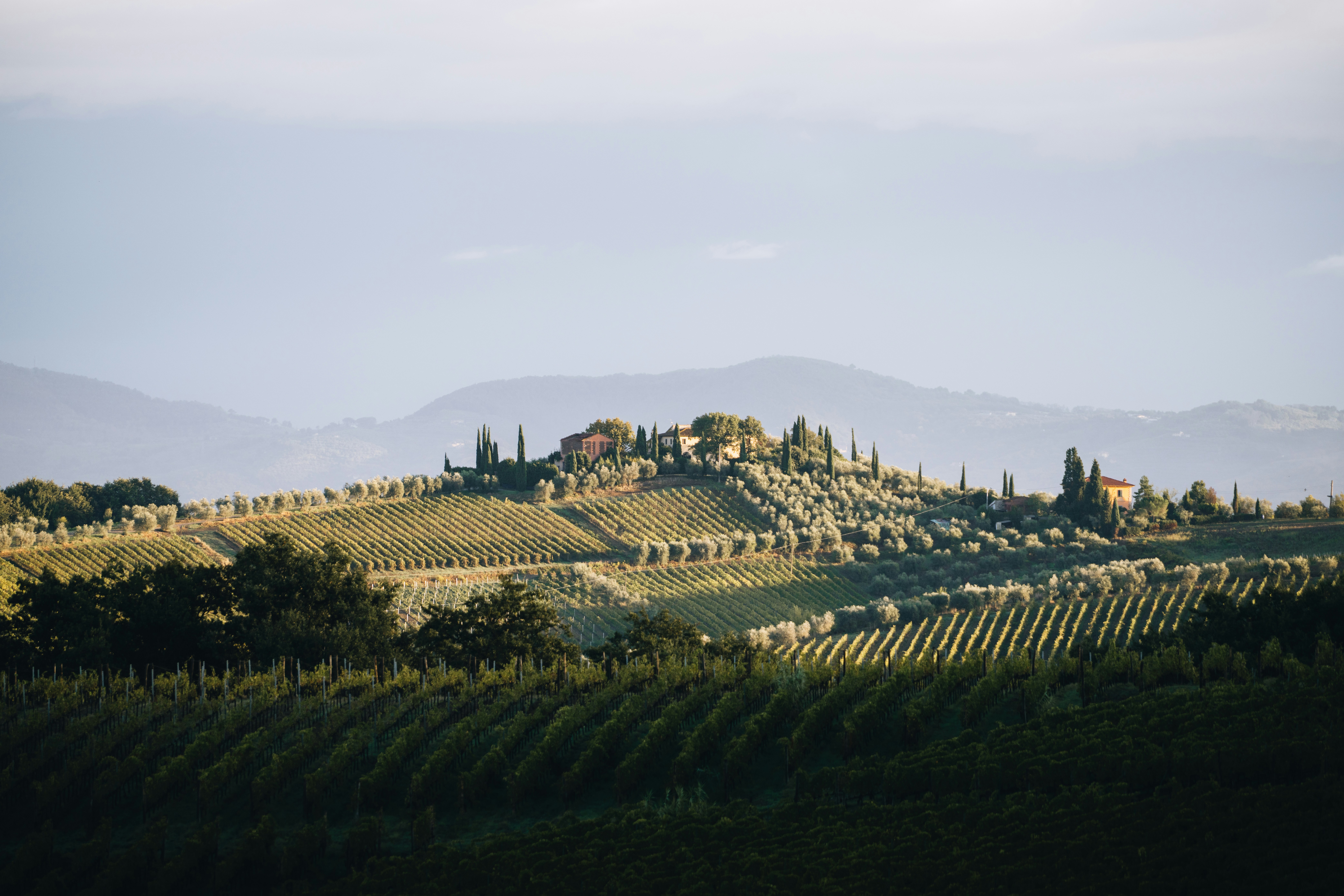 Photo by lifeof_peter_