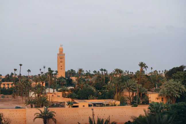 3-Day Medina Budget Itinerary: Travel for $25/Day