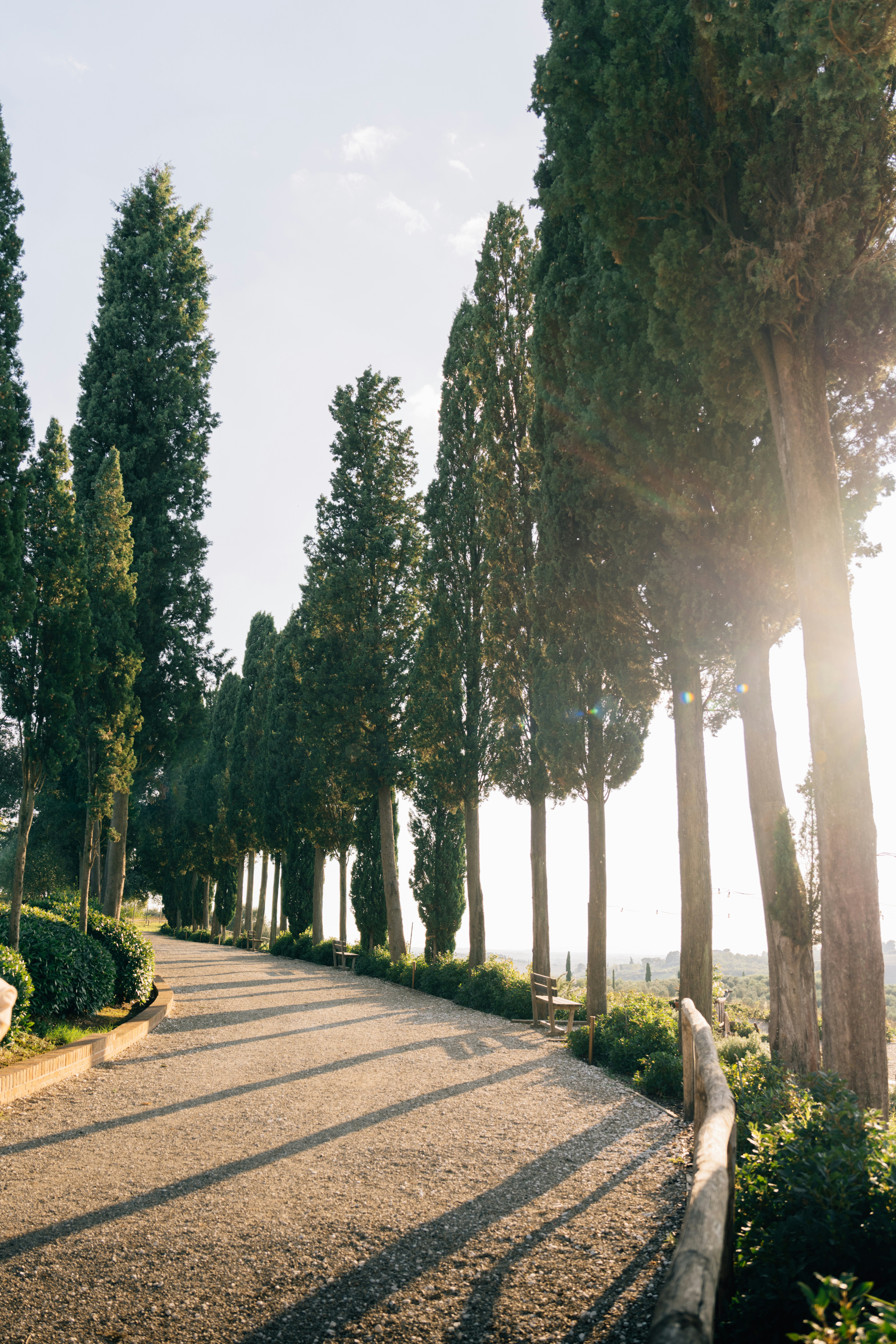 Photo by lifeof_peter_