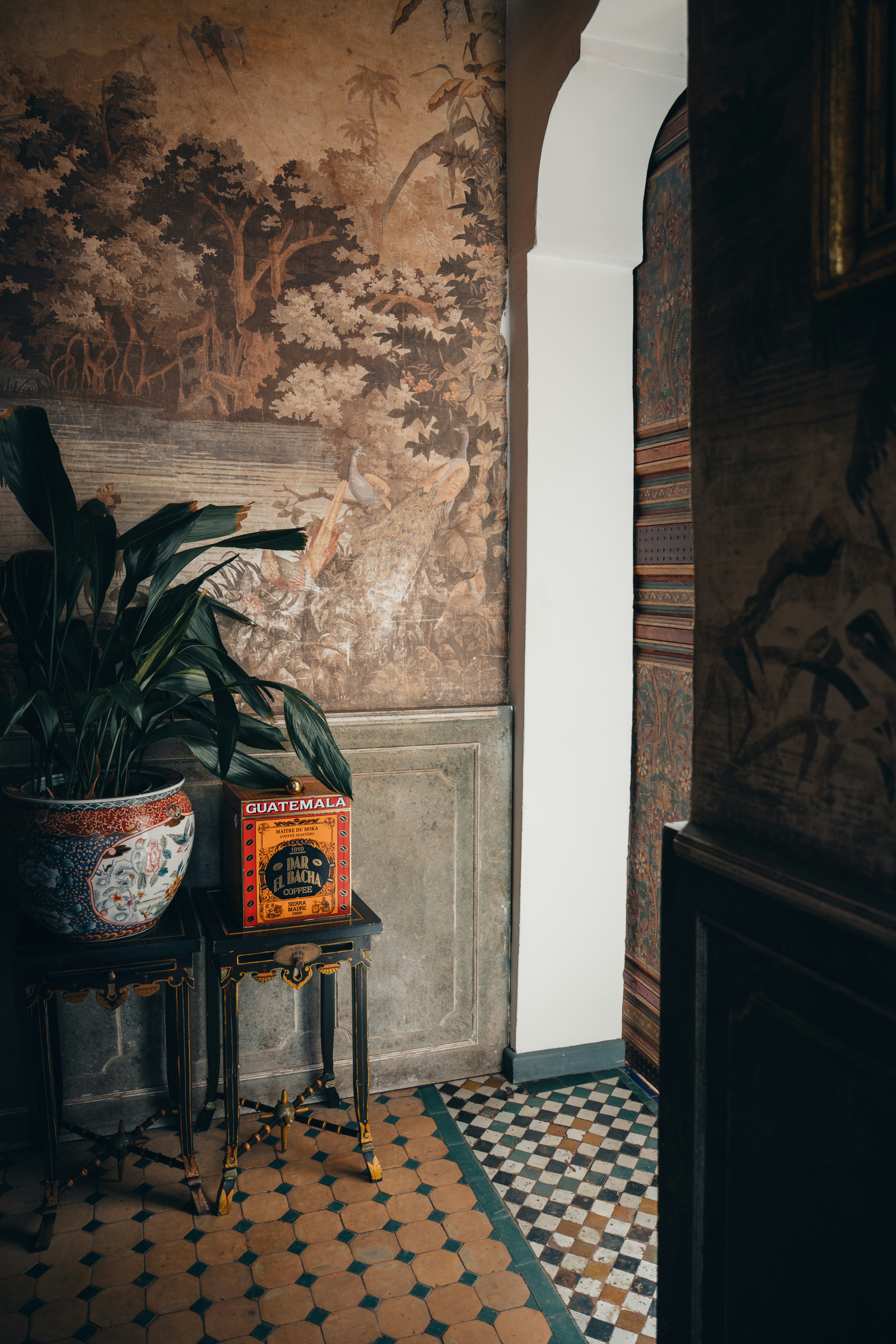 Photo by lifeof_peter_