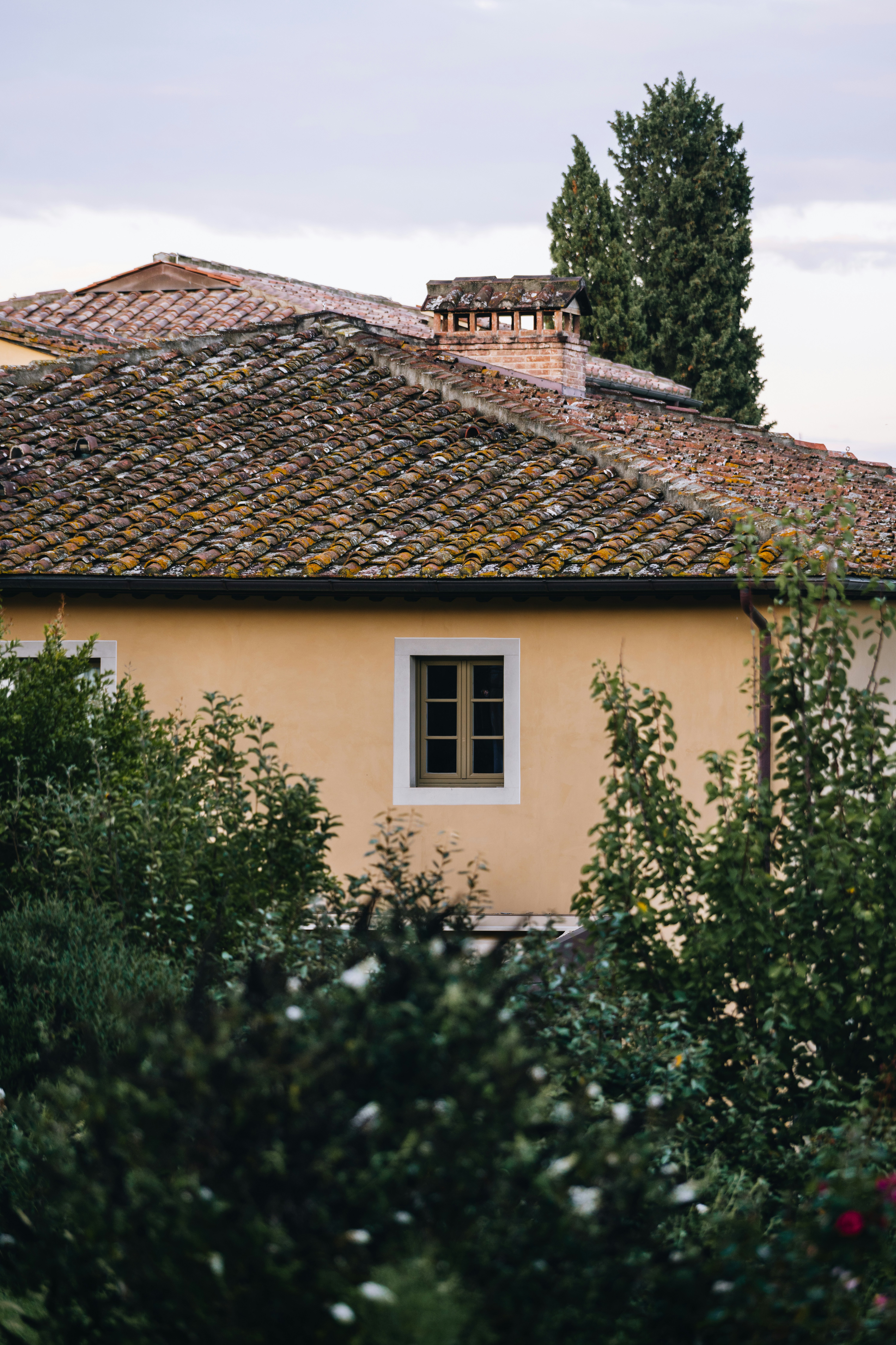 Photo by lifeof_peter_