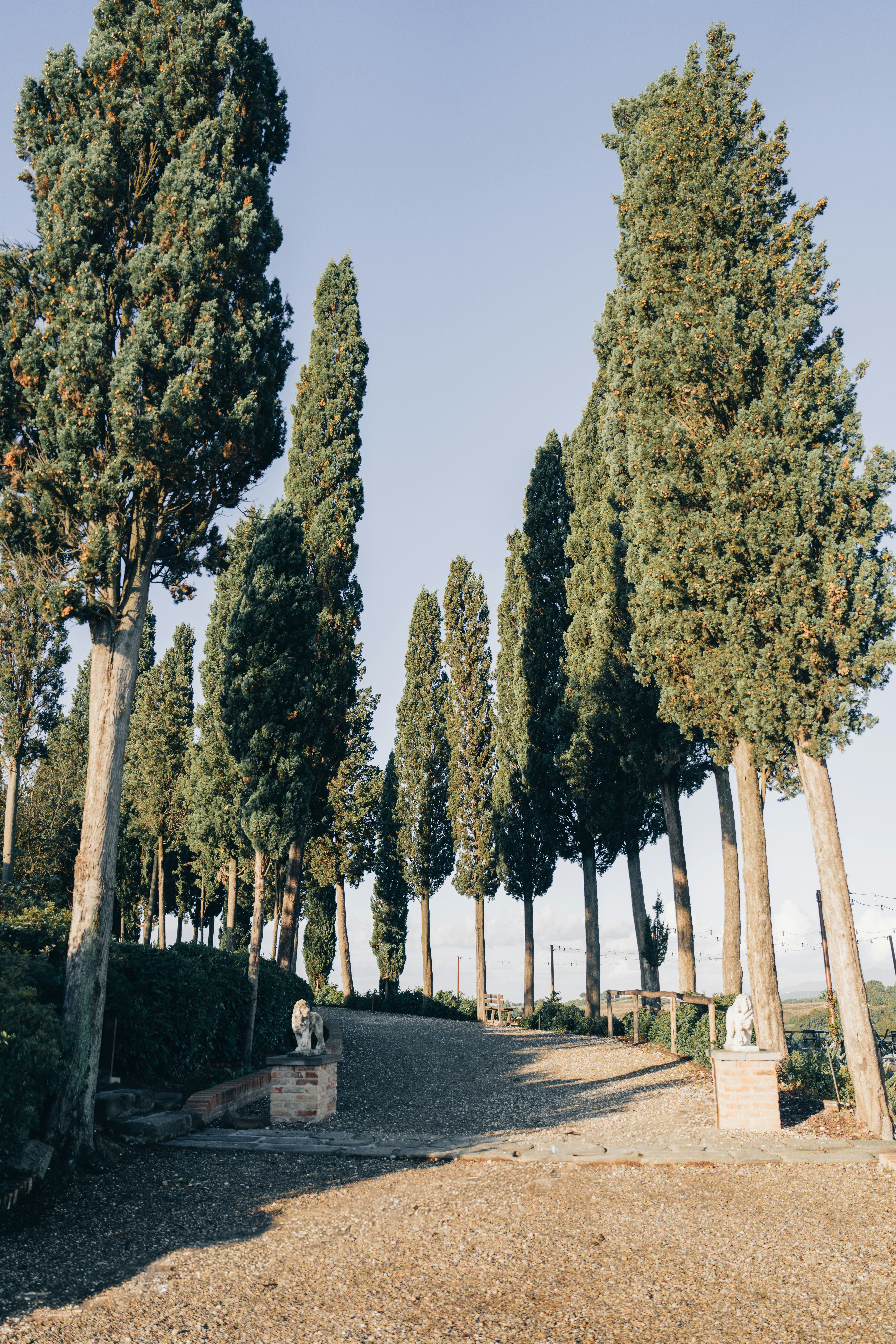 Photo by lifeof_peter_