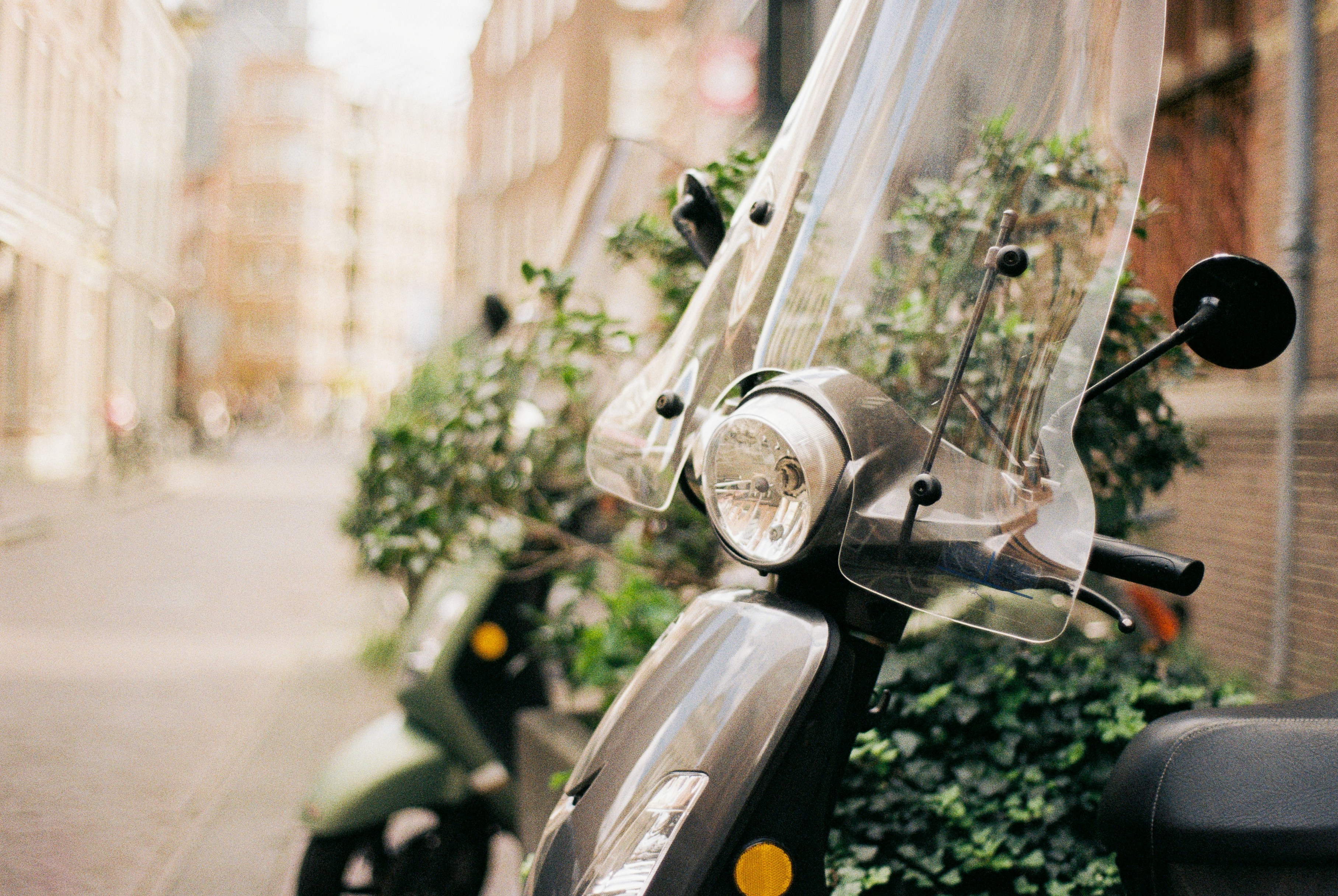 Photo by jakubzerdzicki