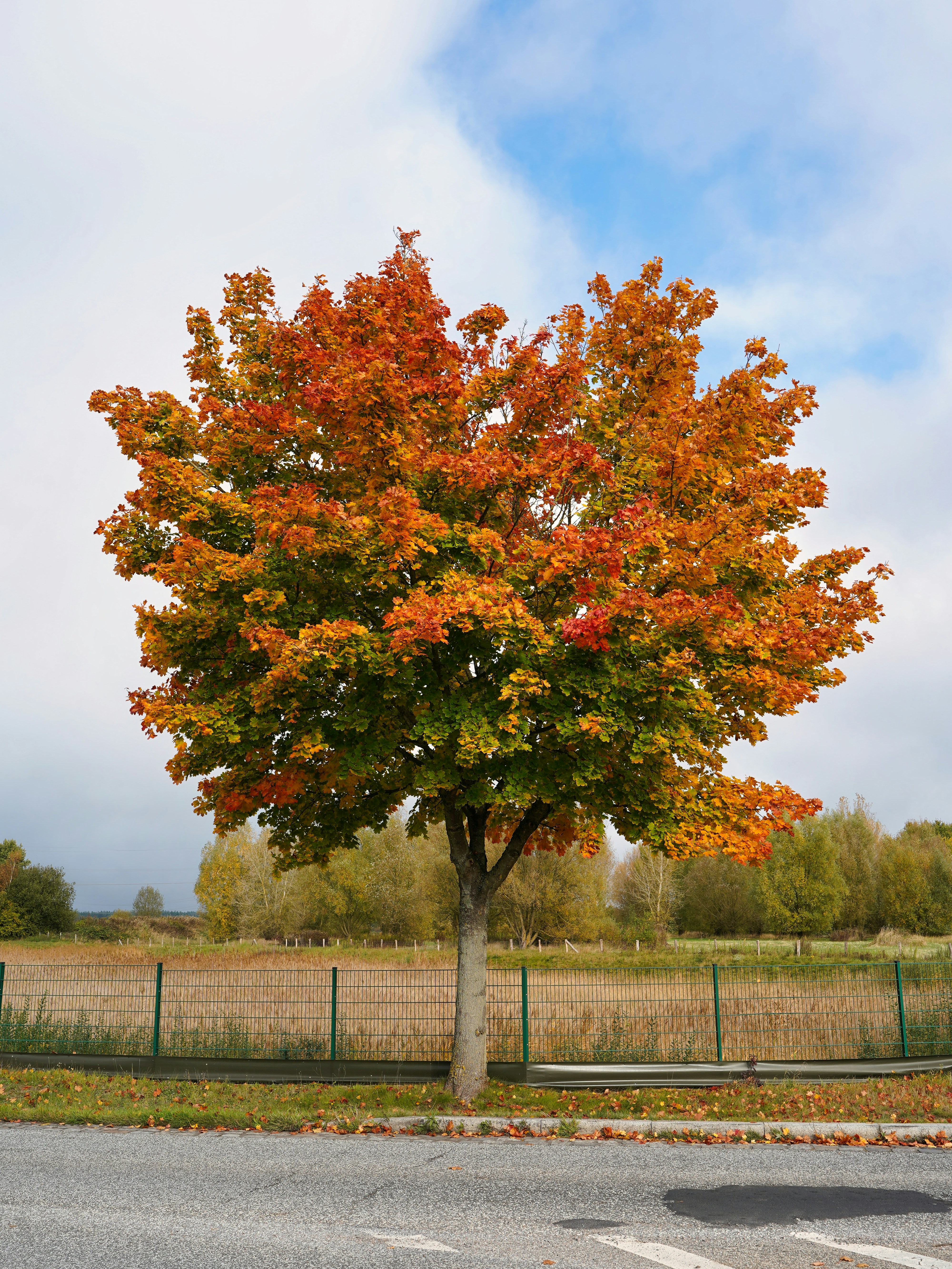 Photo by hamburgmeinefreundin