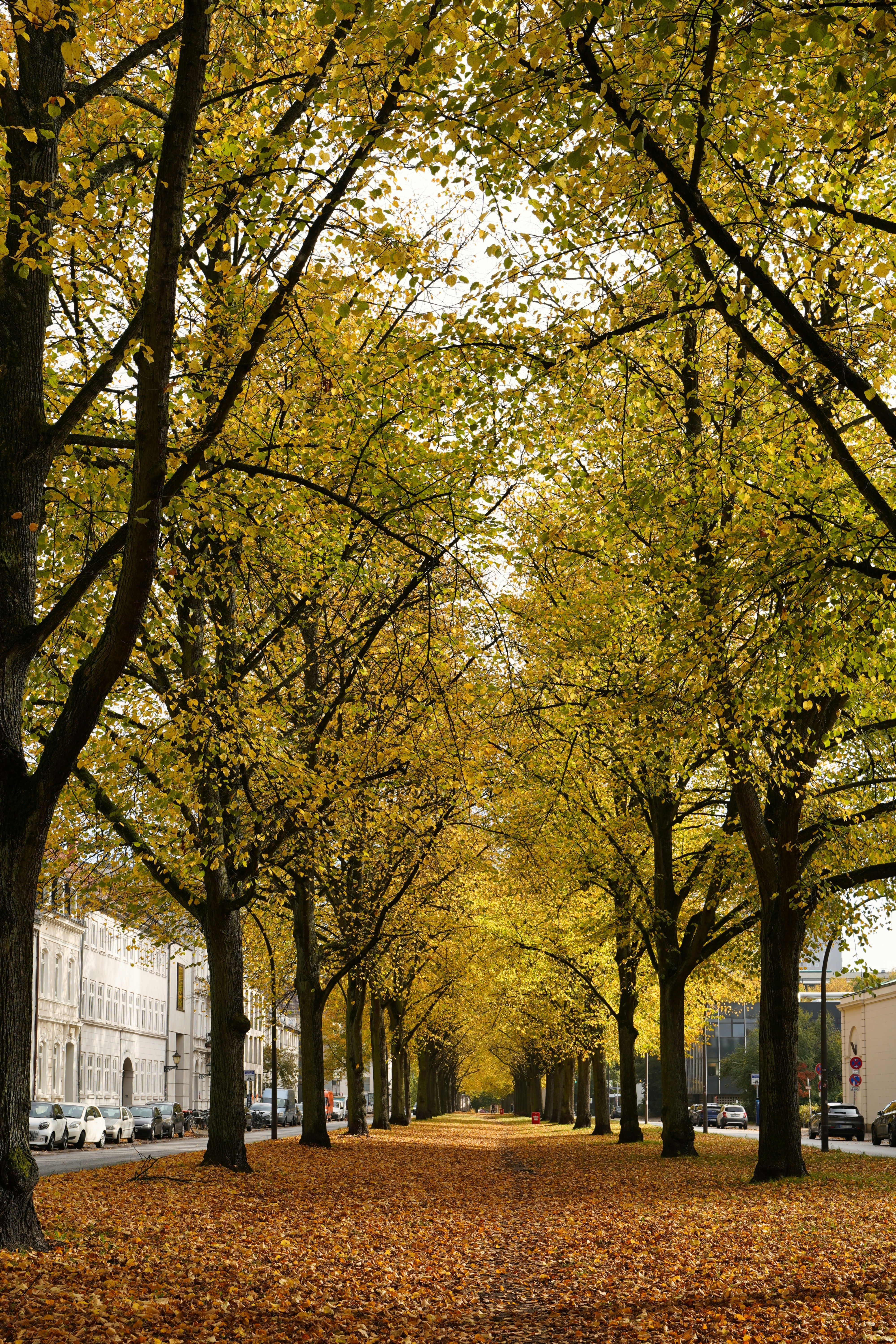 Photo by hamburgmeinefreundin