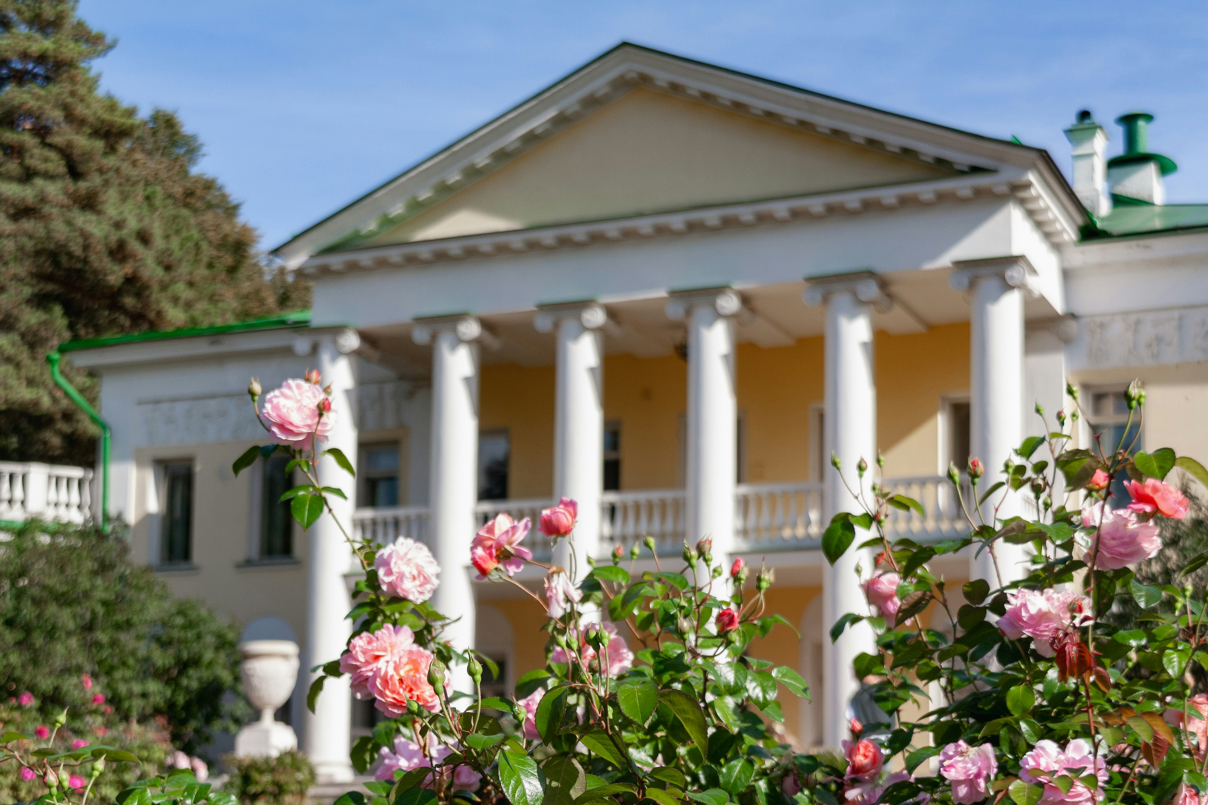 Photo by kulikovnik2