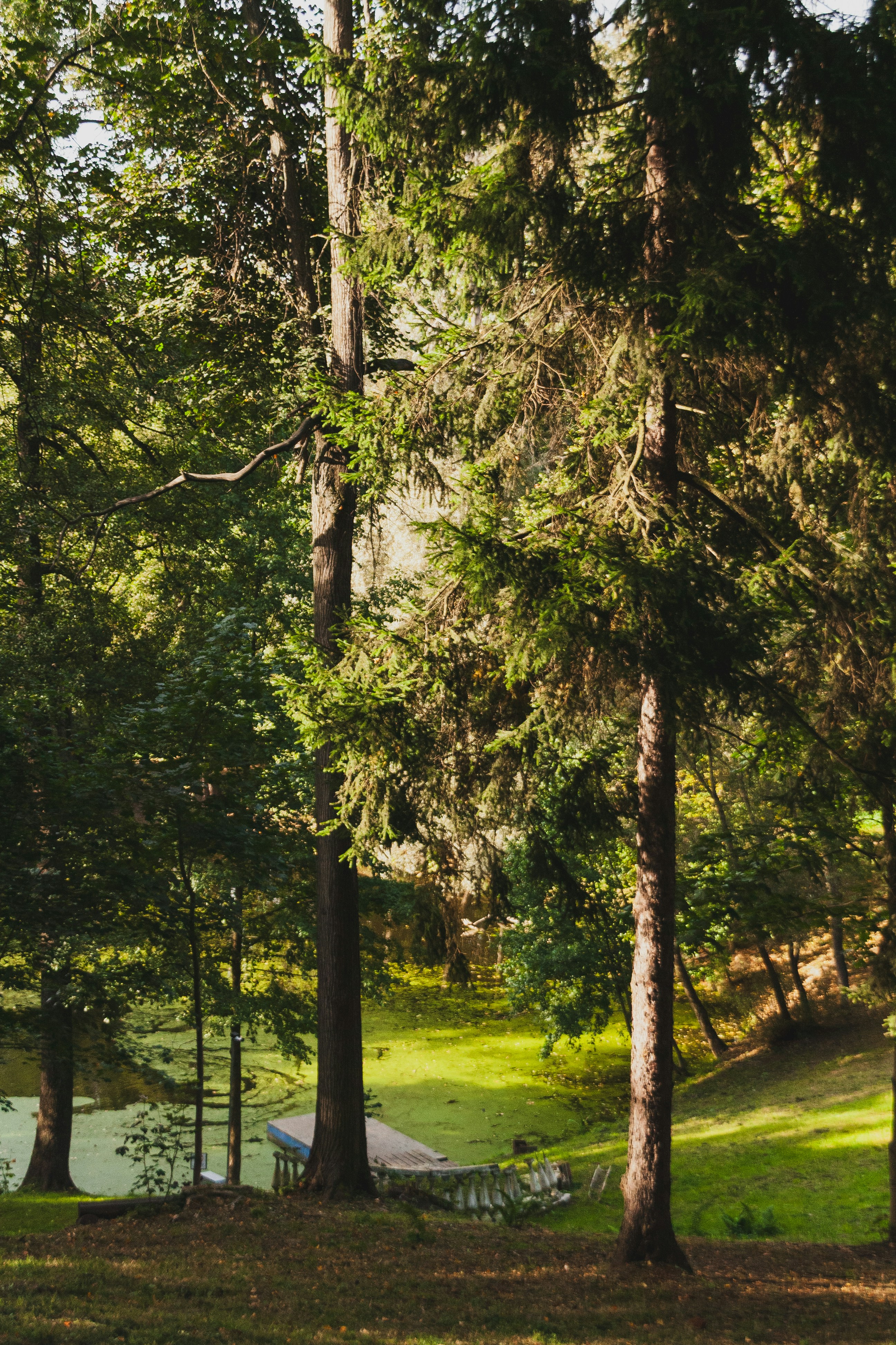 Photo by kulikovnik2