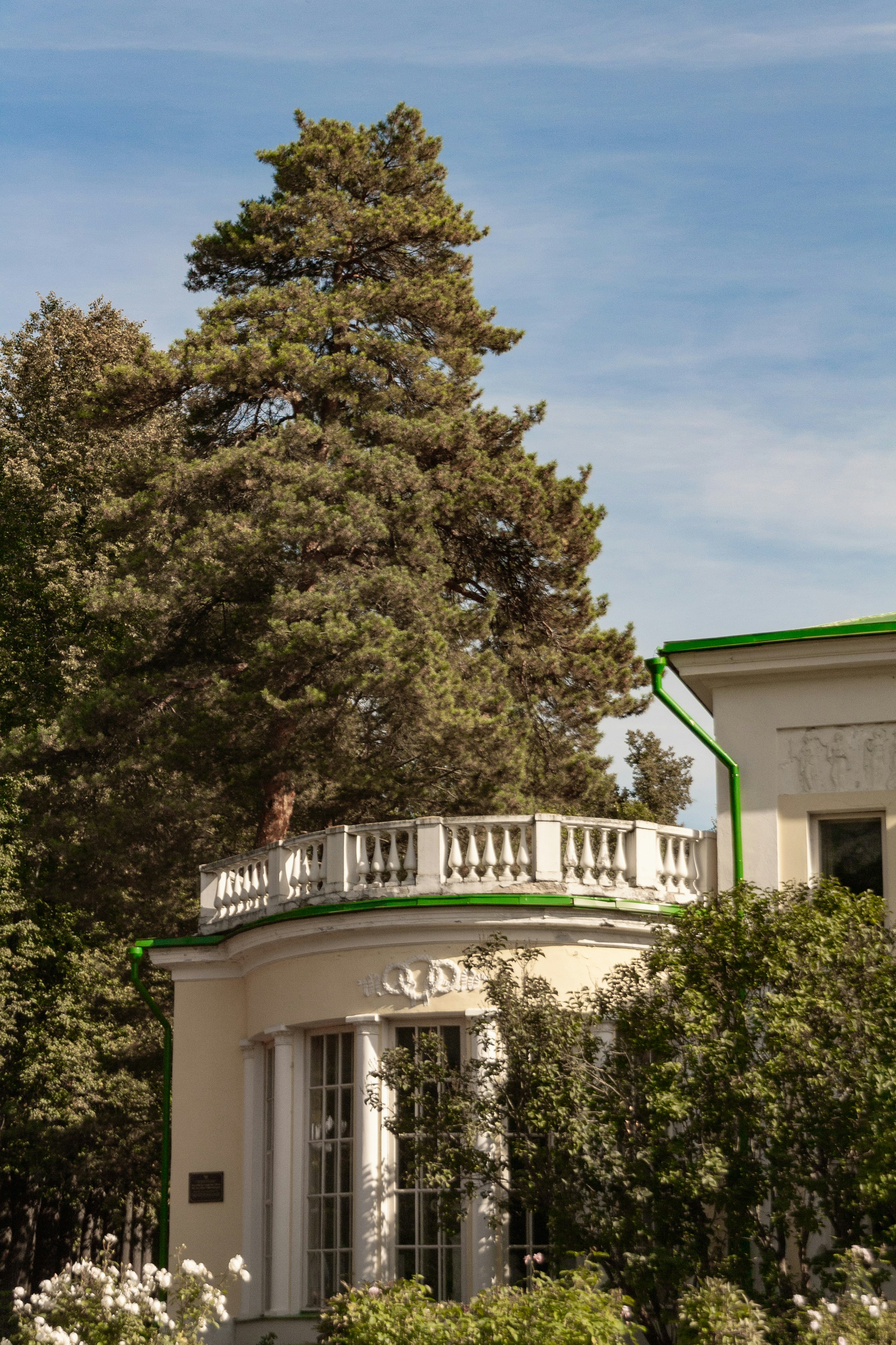 Photo by kulikovnik2