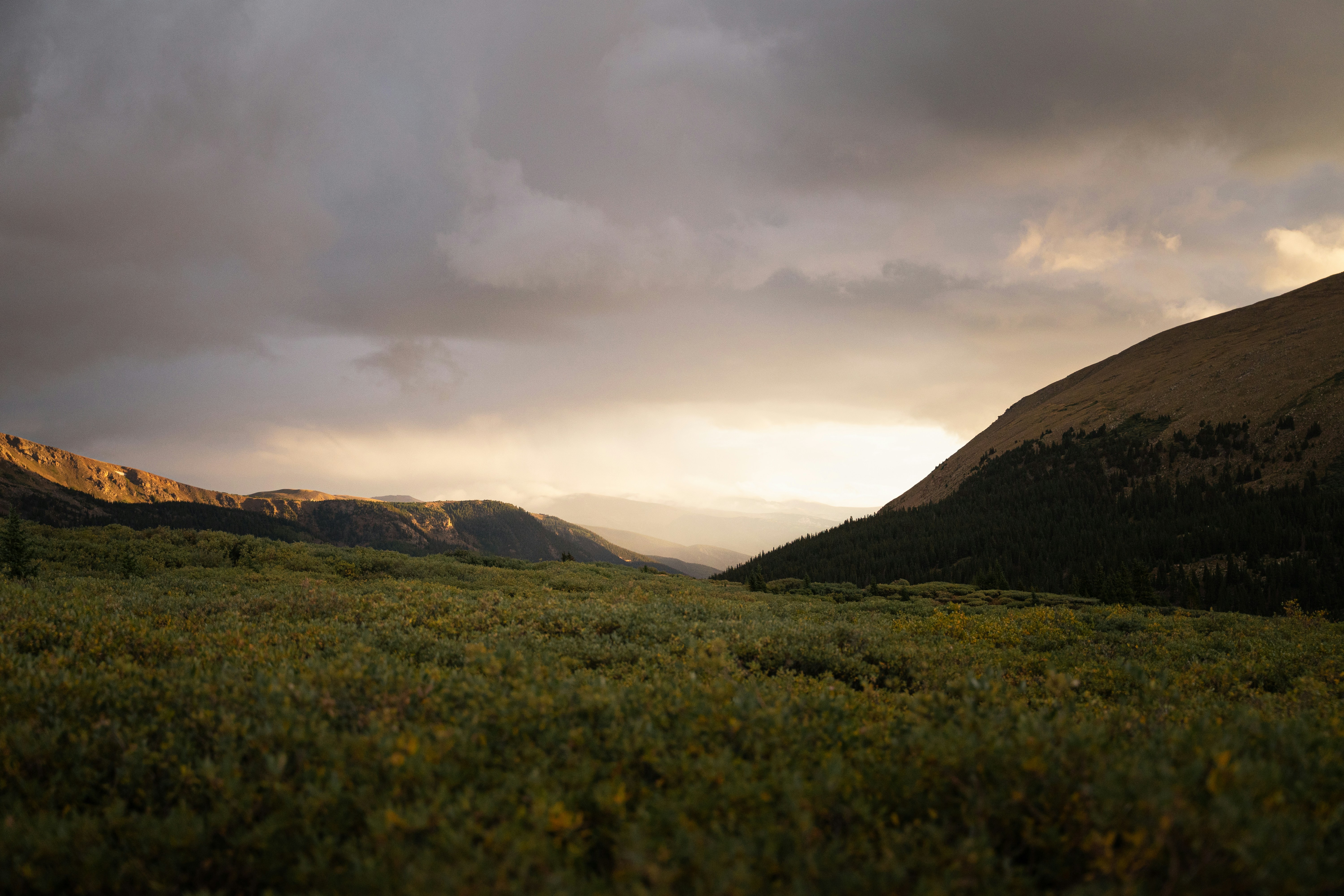 Photo by maxymvolkov