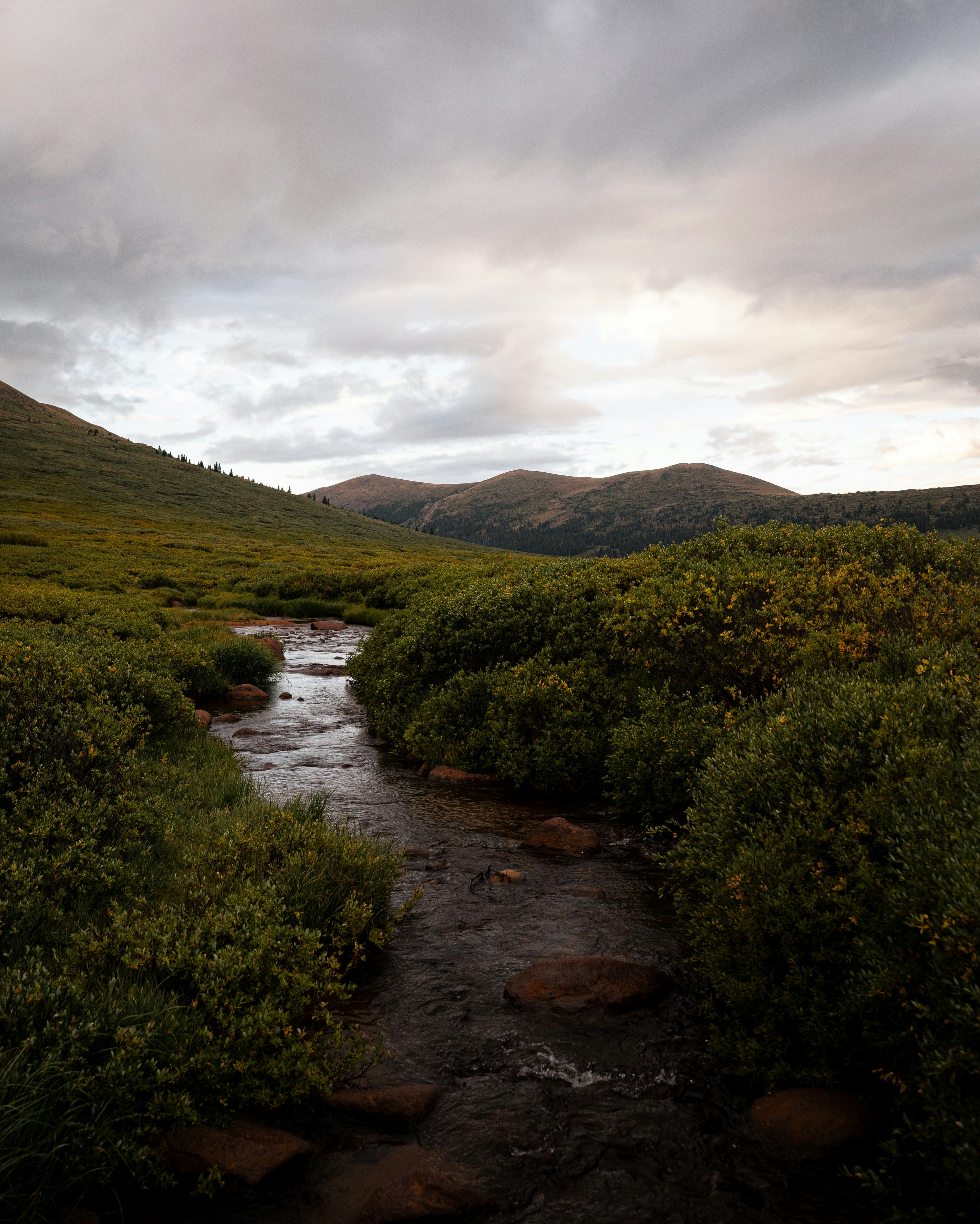 Photo by maxymvolkov