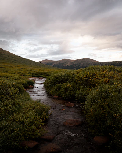 A small creek winding through willow and tundra grass in a high Colorado basin under an overcast sky, rounded peaks on the skyline