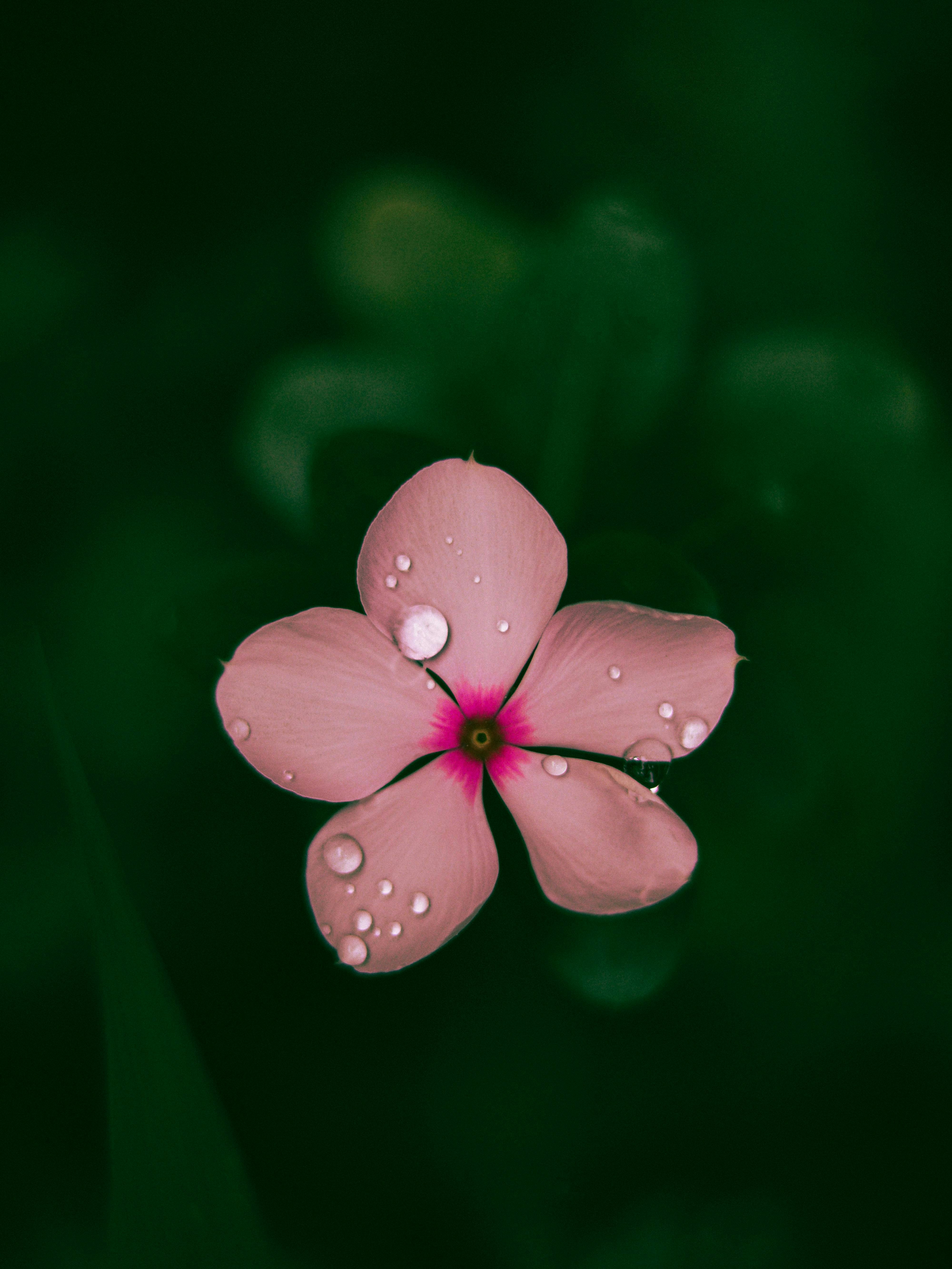 Photo by athulmk