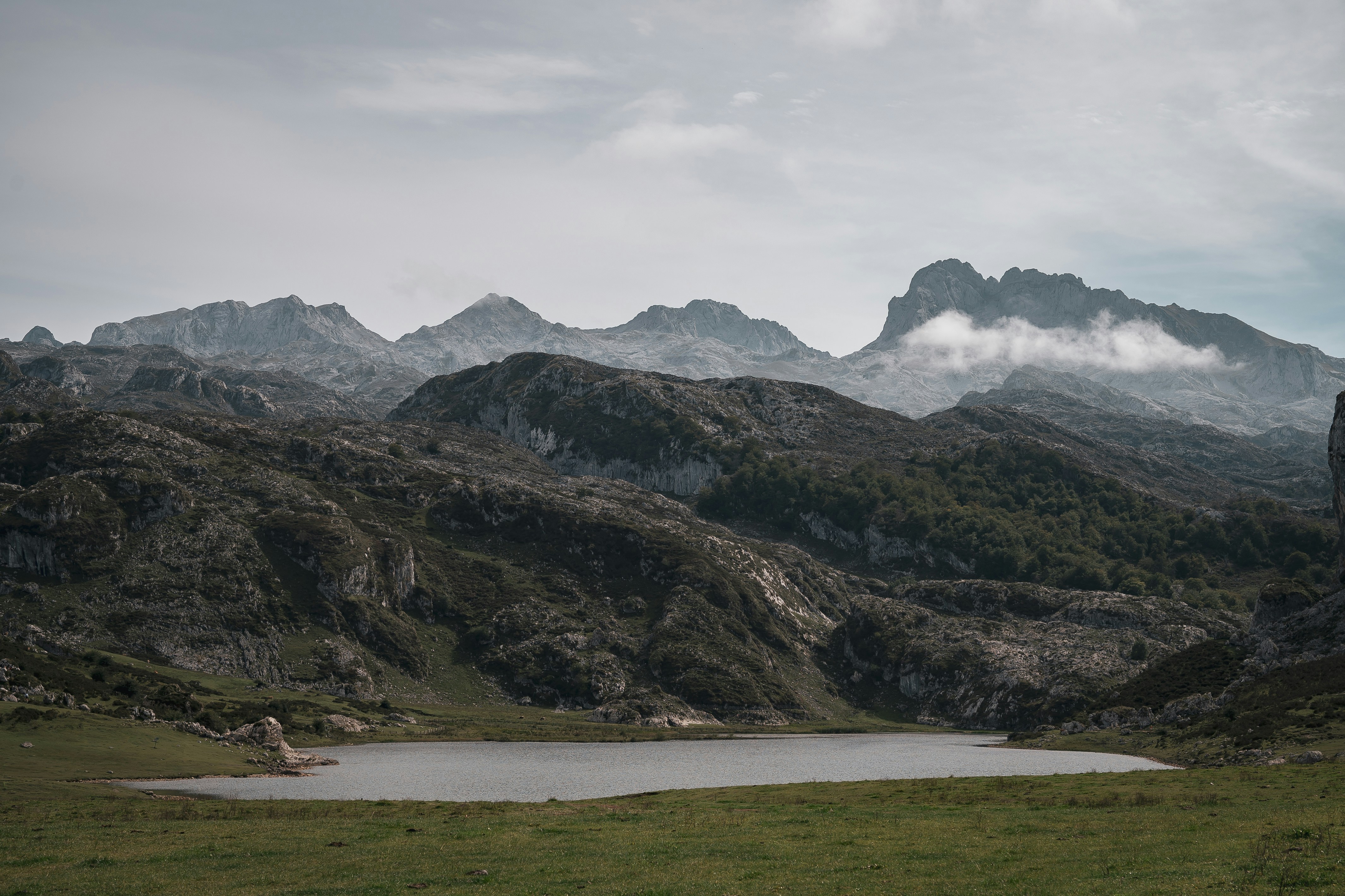 Photo by aliciaegar_