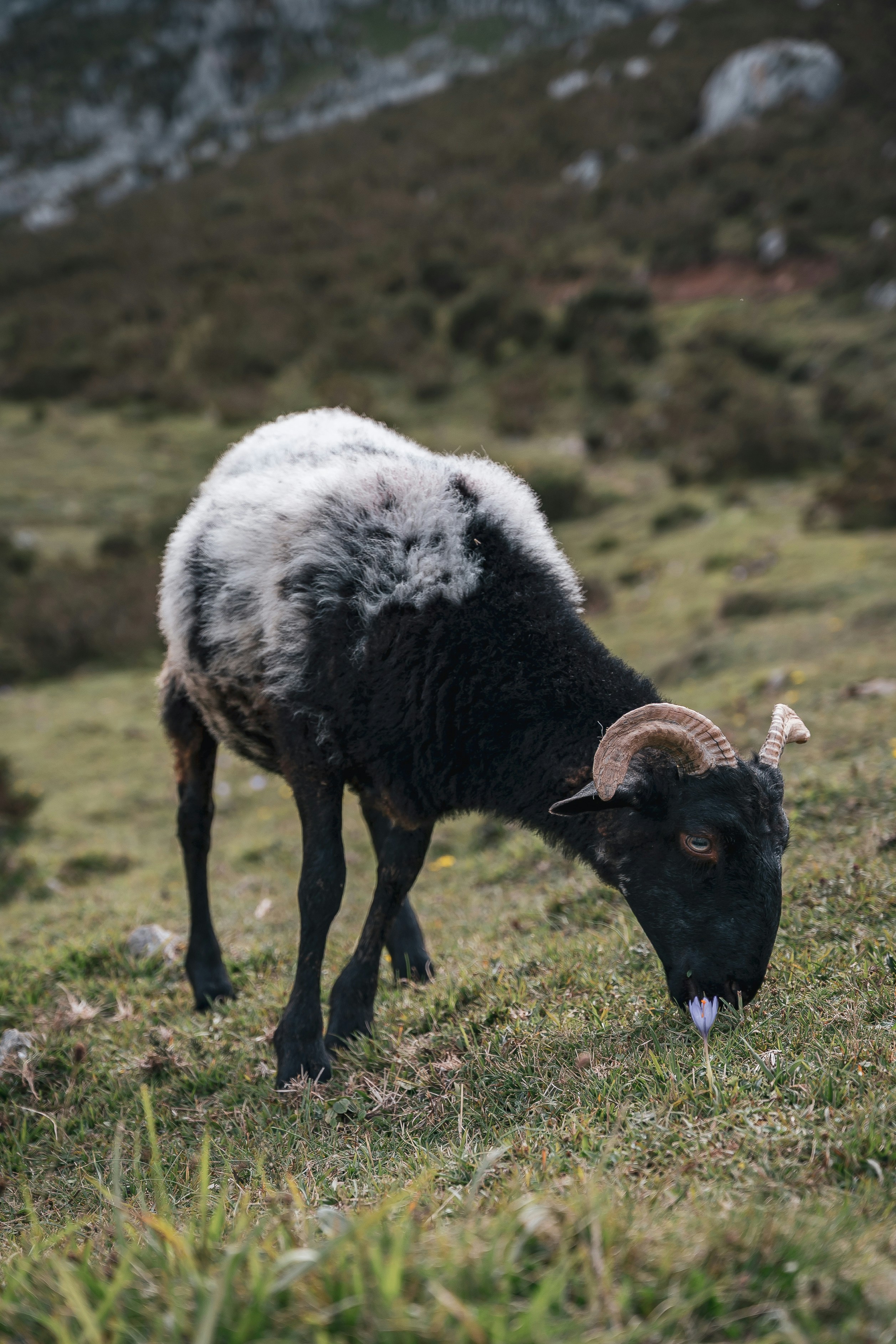 Photo by aliciaegar_