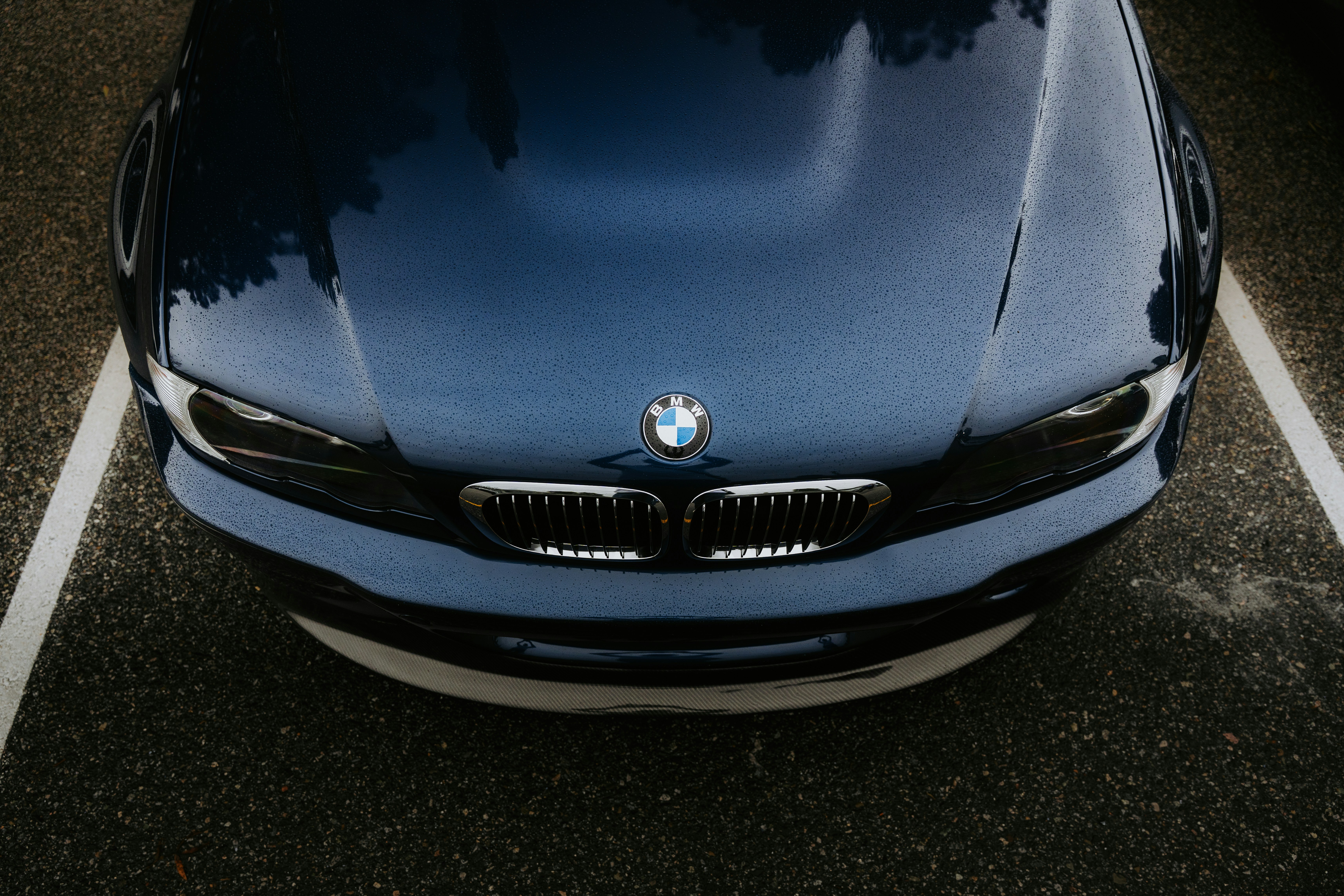 Close-up of a dark blue BMW car grille.