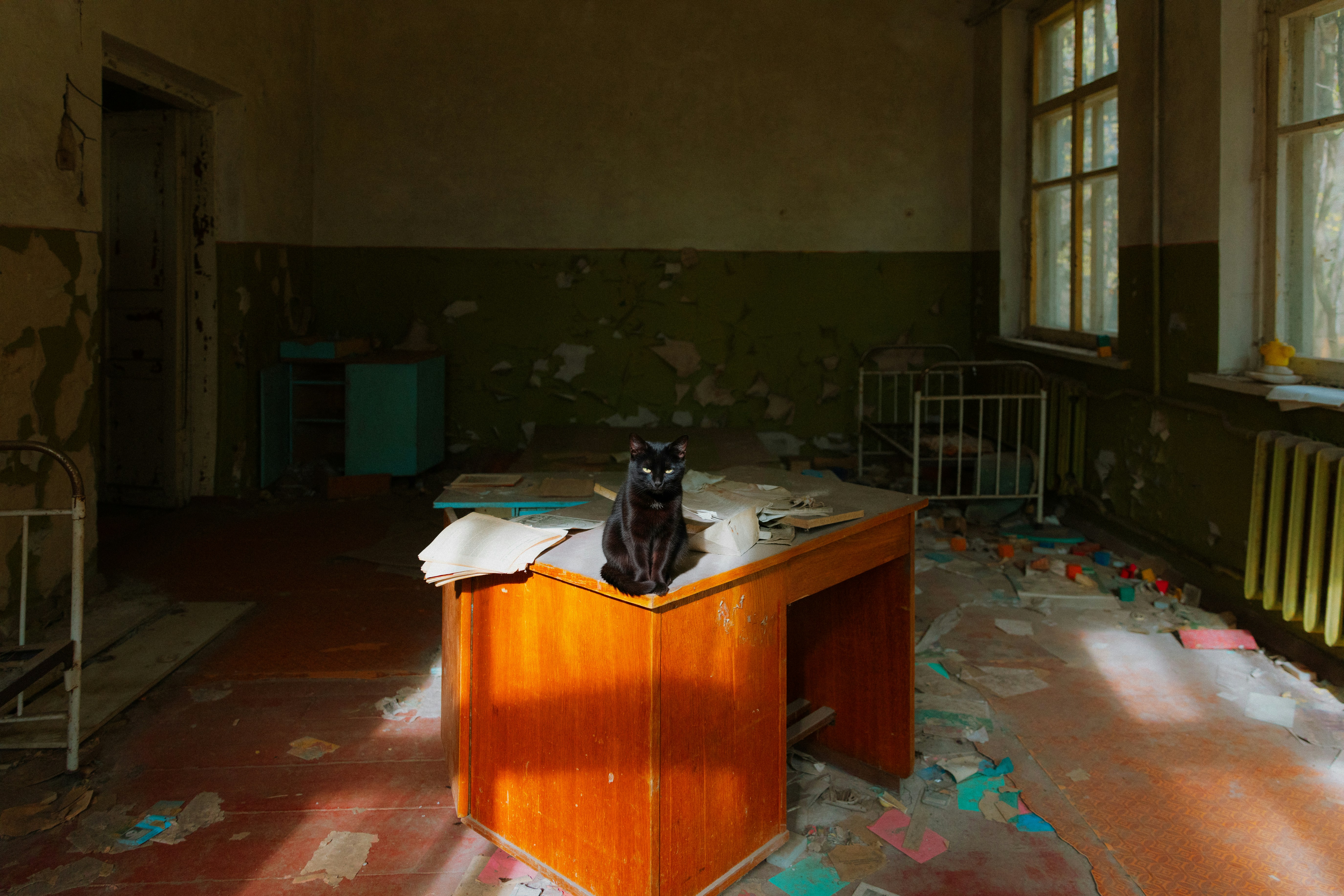 Gato negro sentado en un escritorio en una habitación abandonada.
