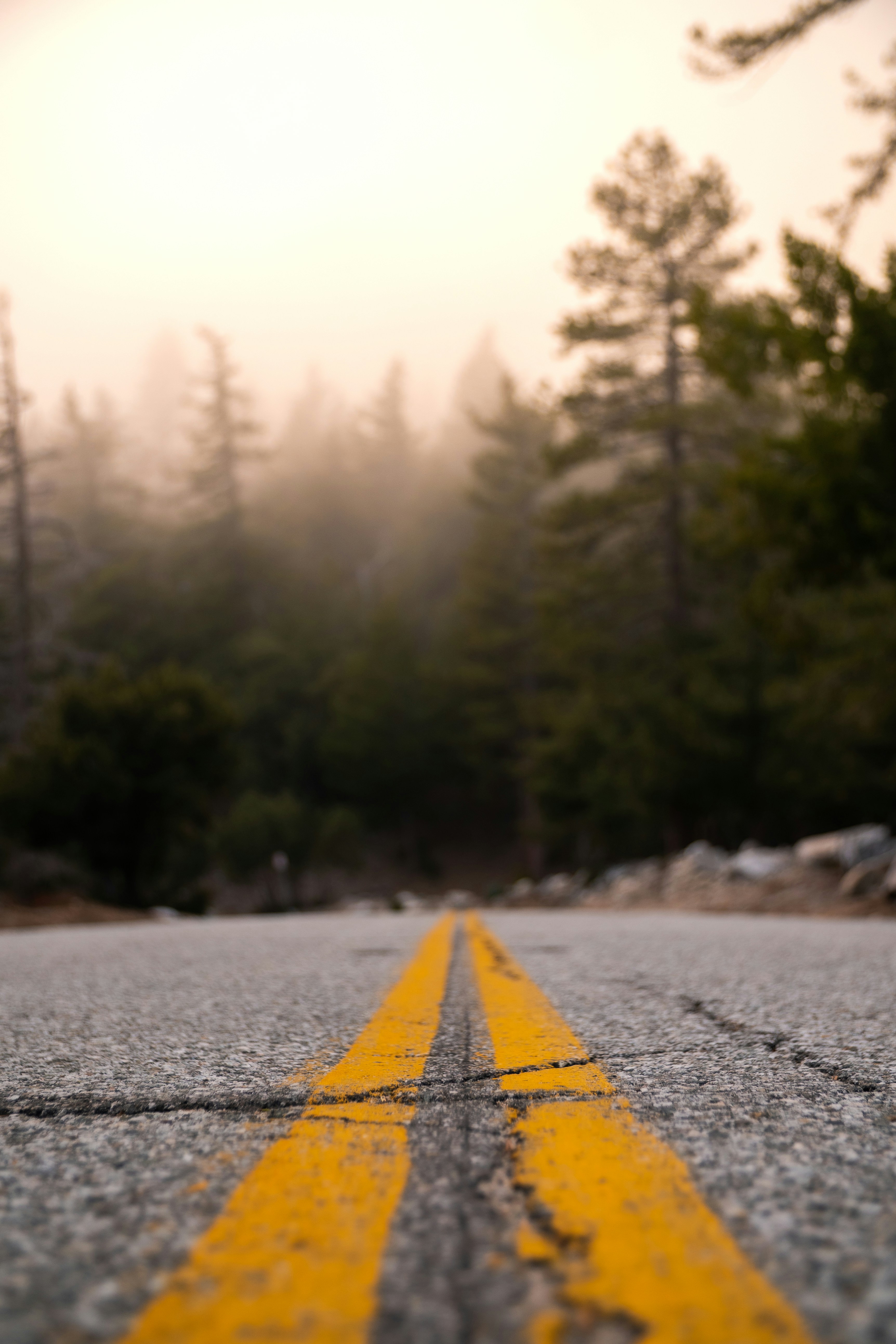 Photo by robertography