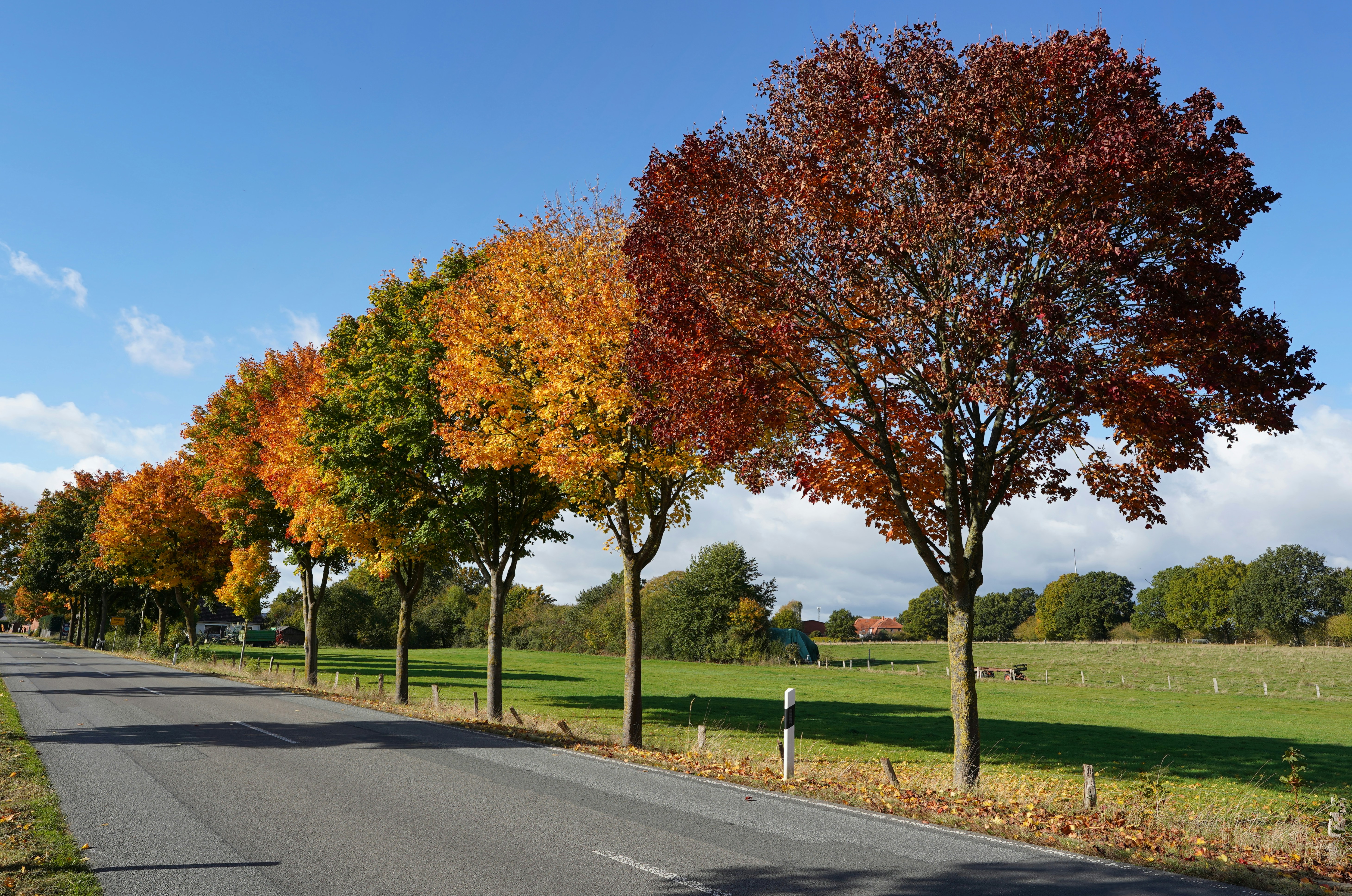 Photo by hamburgmeinefreundin