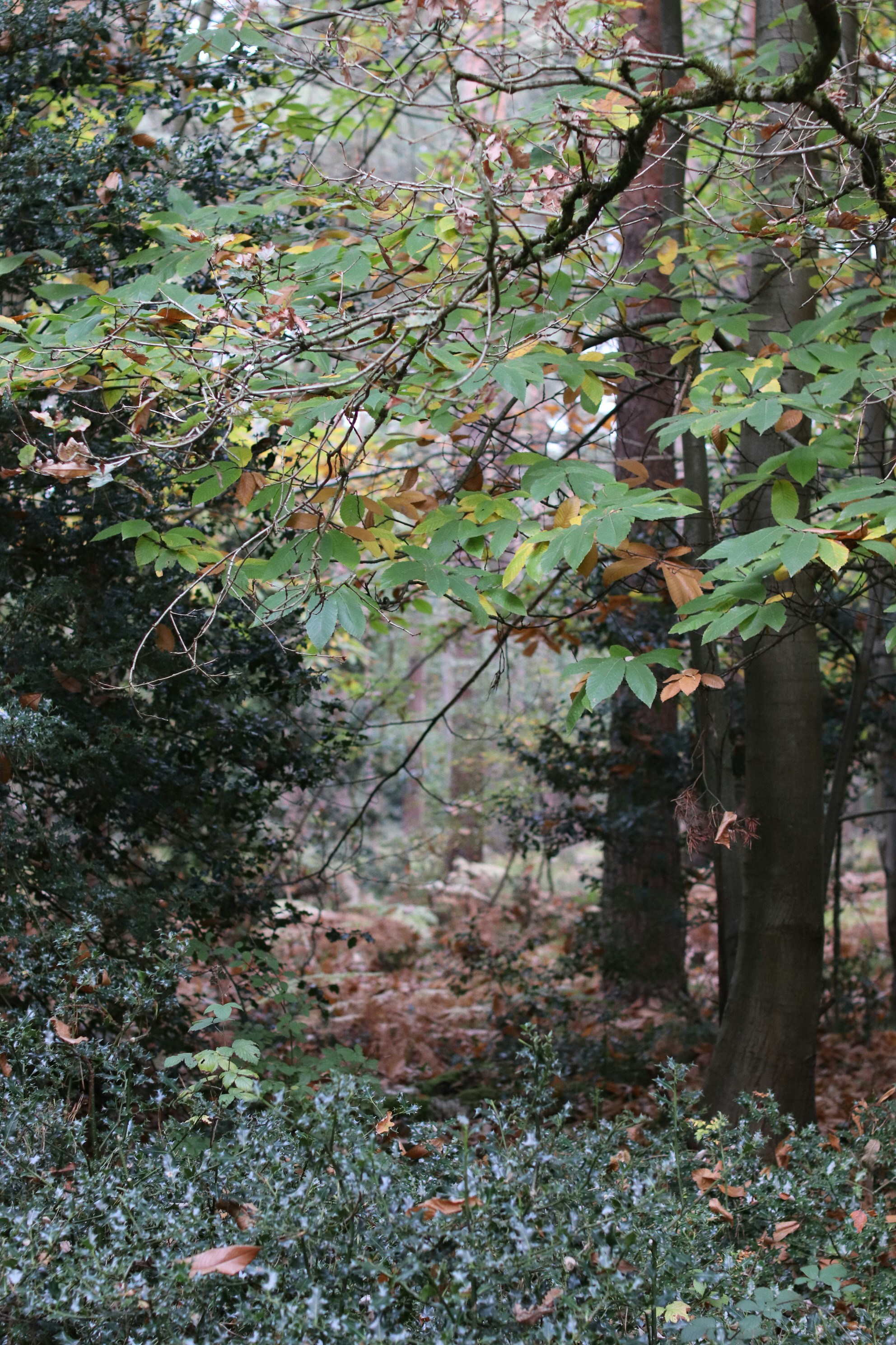 Photo by tanyabarrow