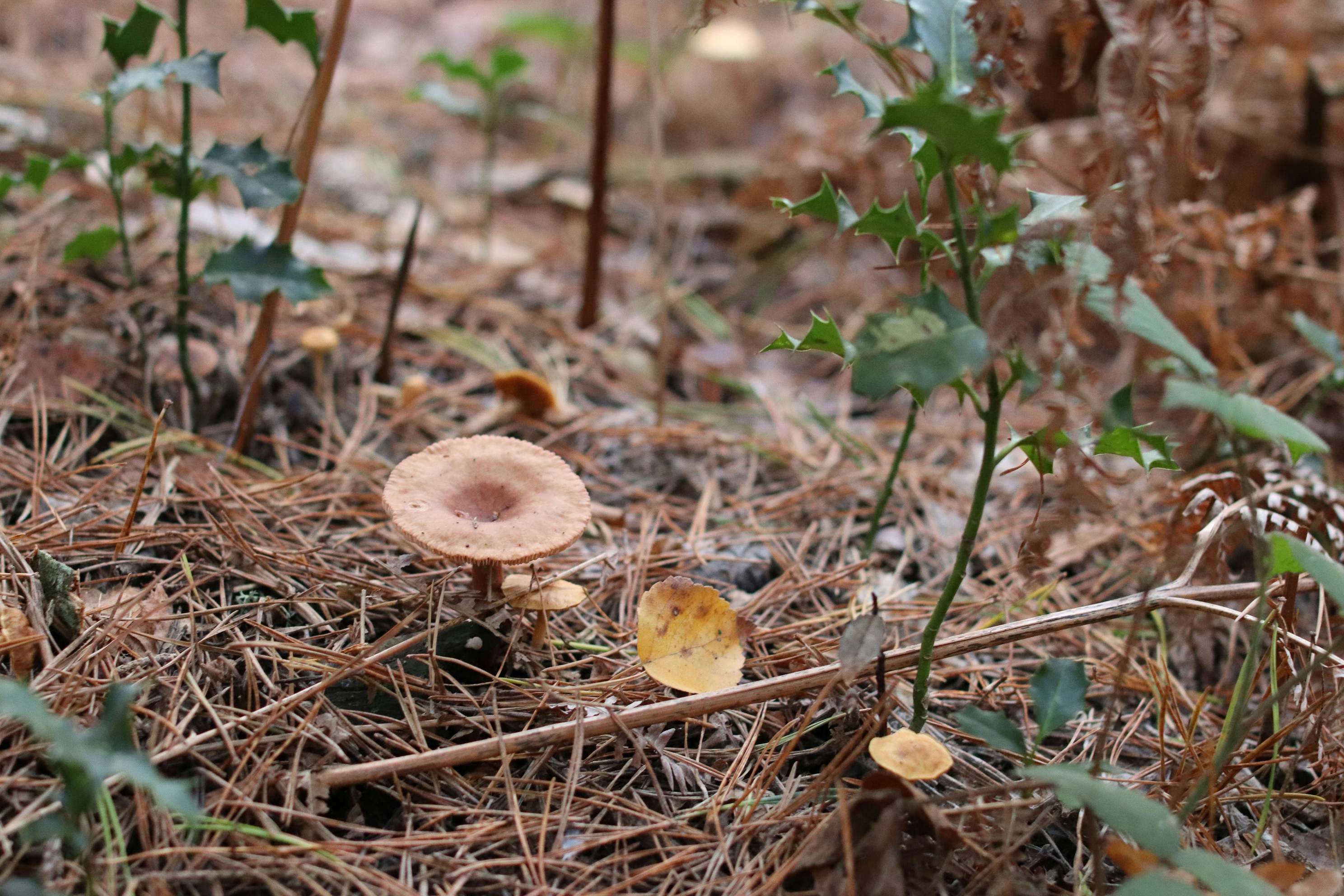 Photo by tanyabarrow