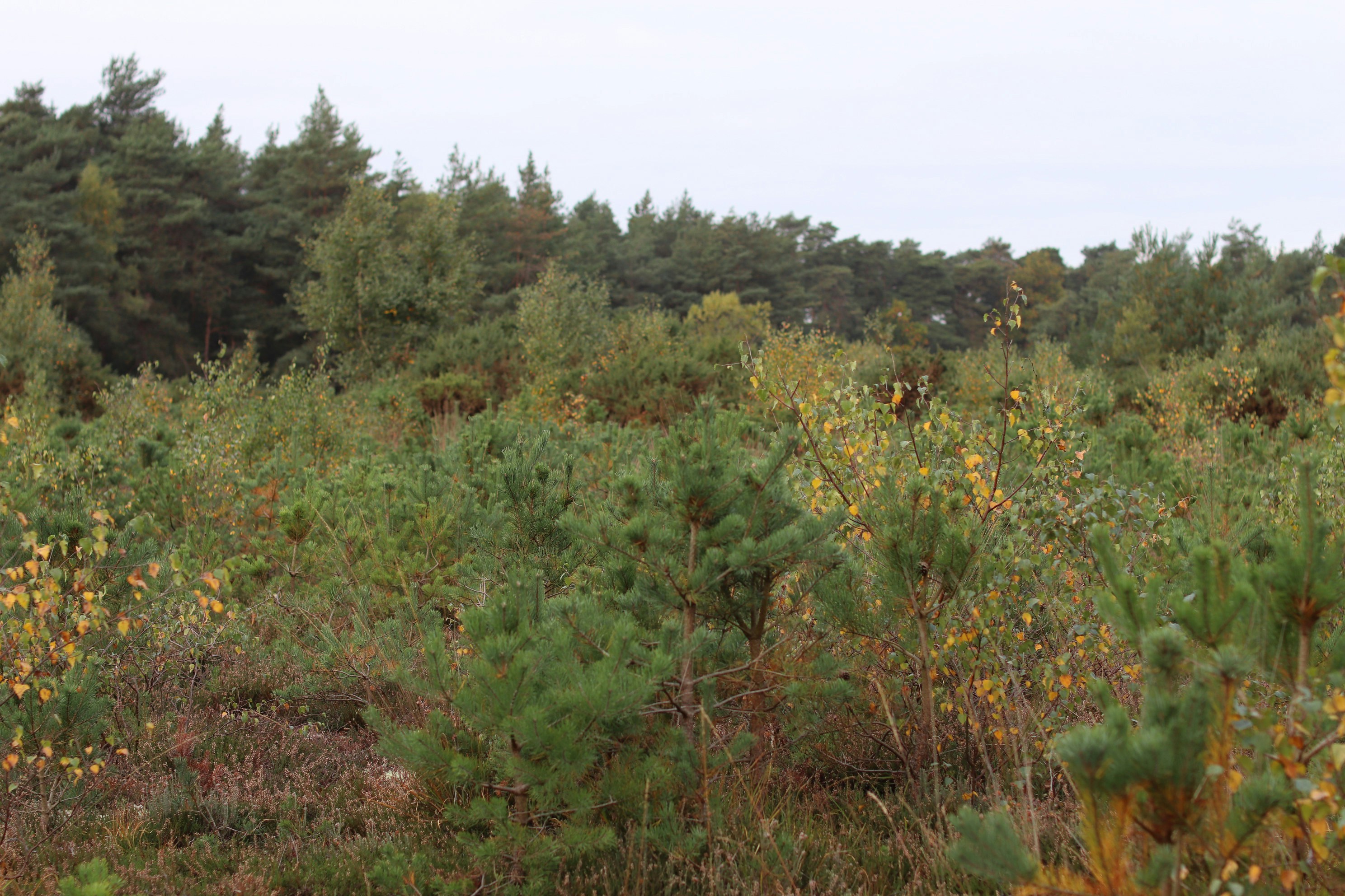 Photo by tanyabarrow