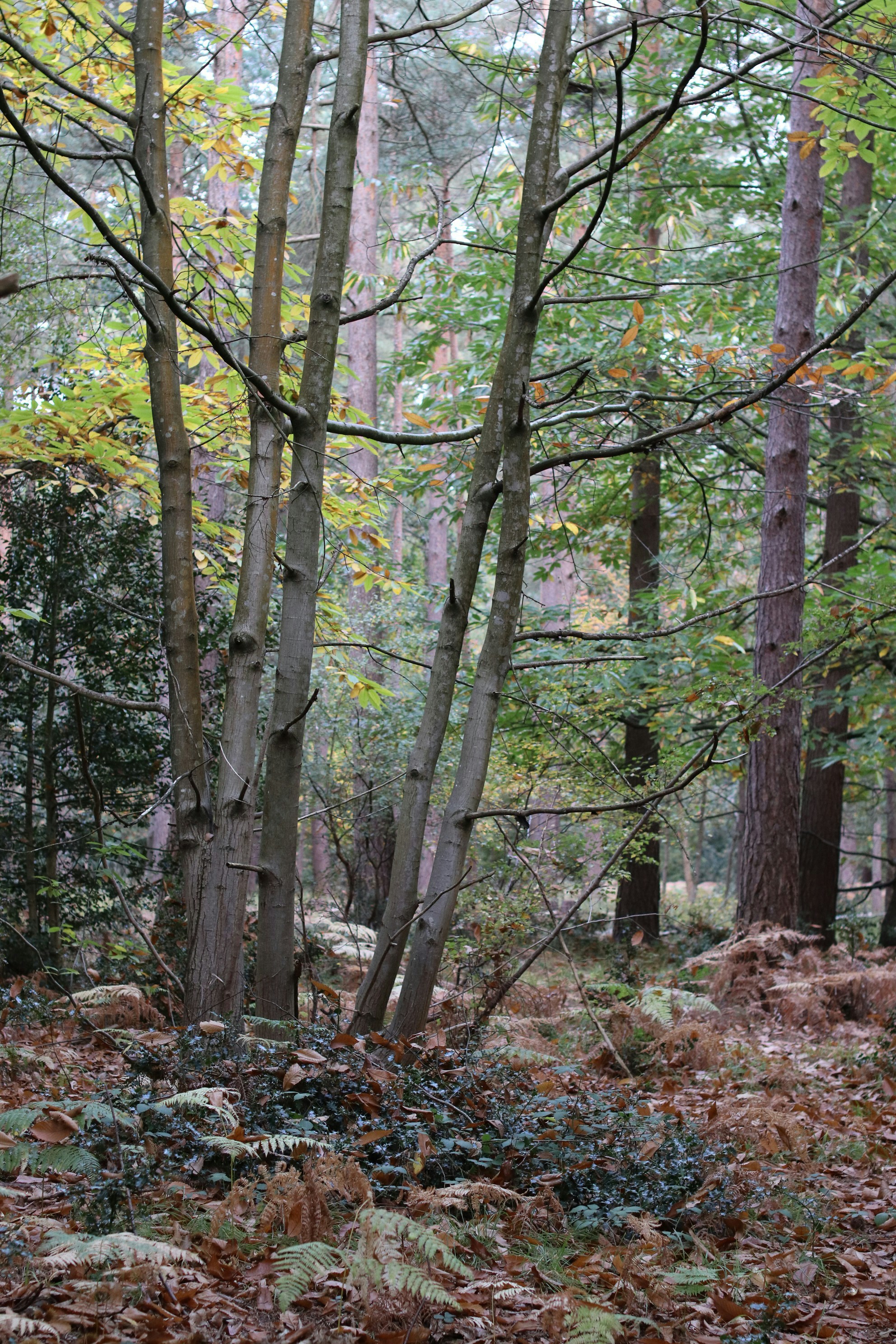 Photo by tanyabarrow