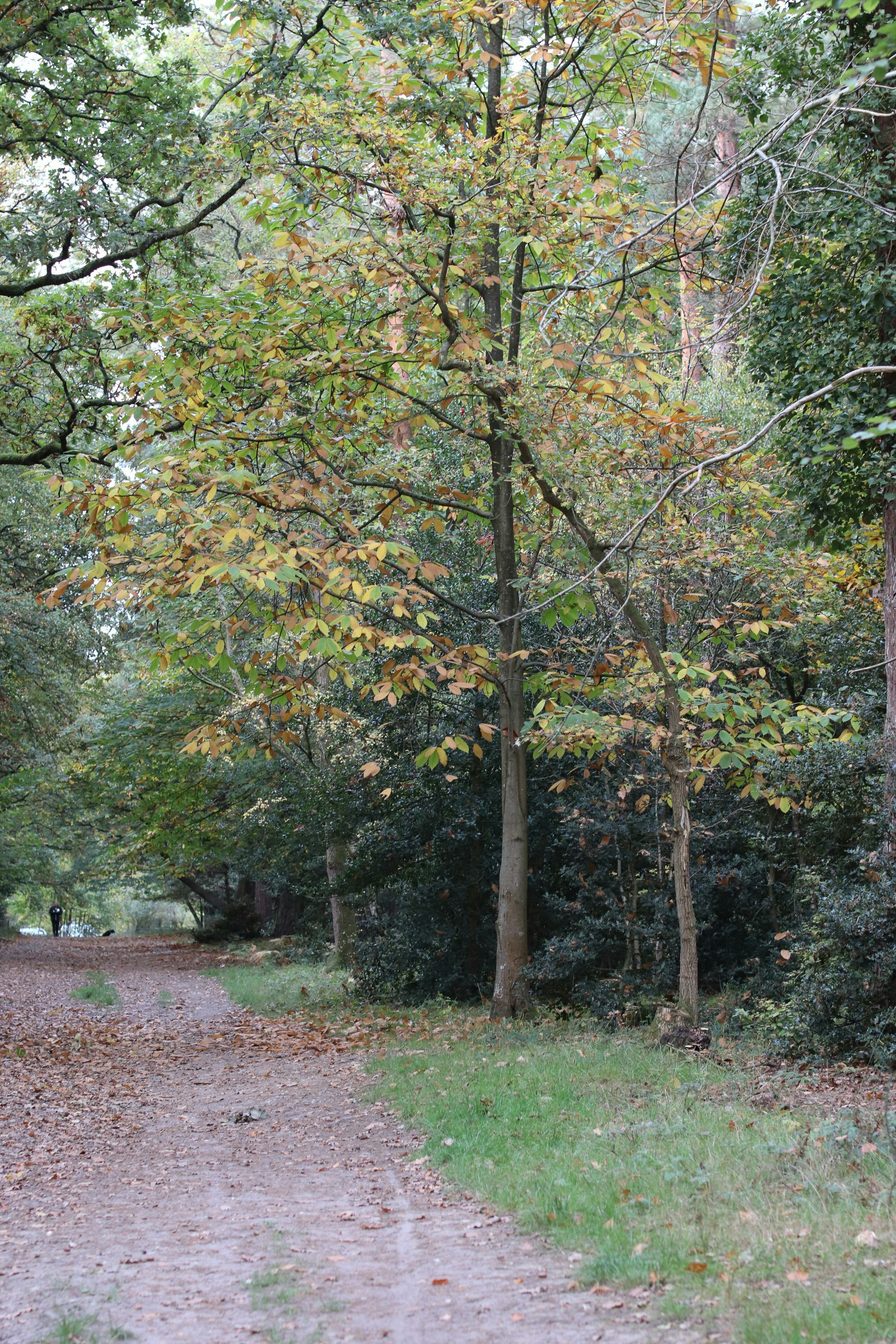 Photo by tanyabarrow