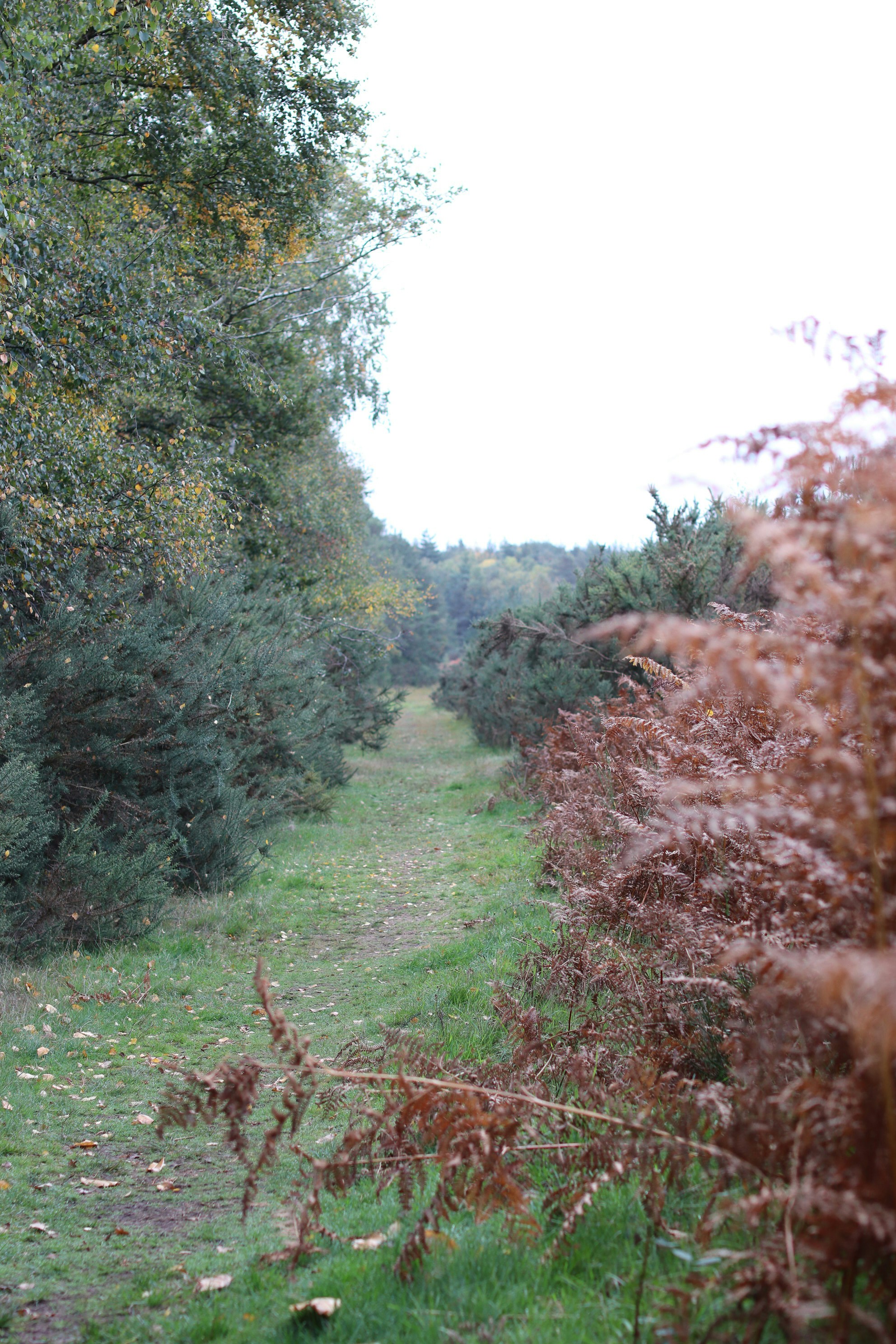 Photo by tanyabarrow