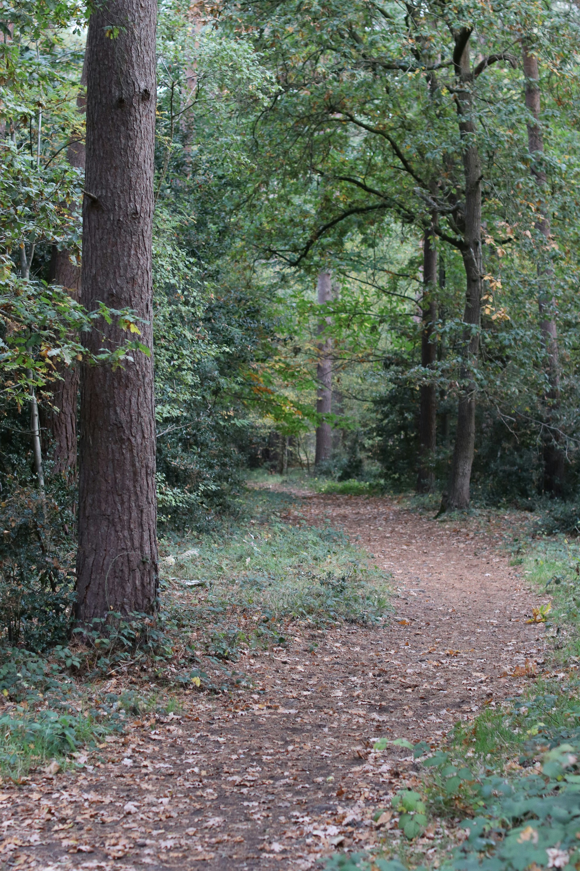 Photo by tanyabarrow