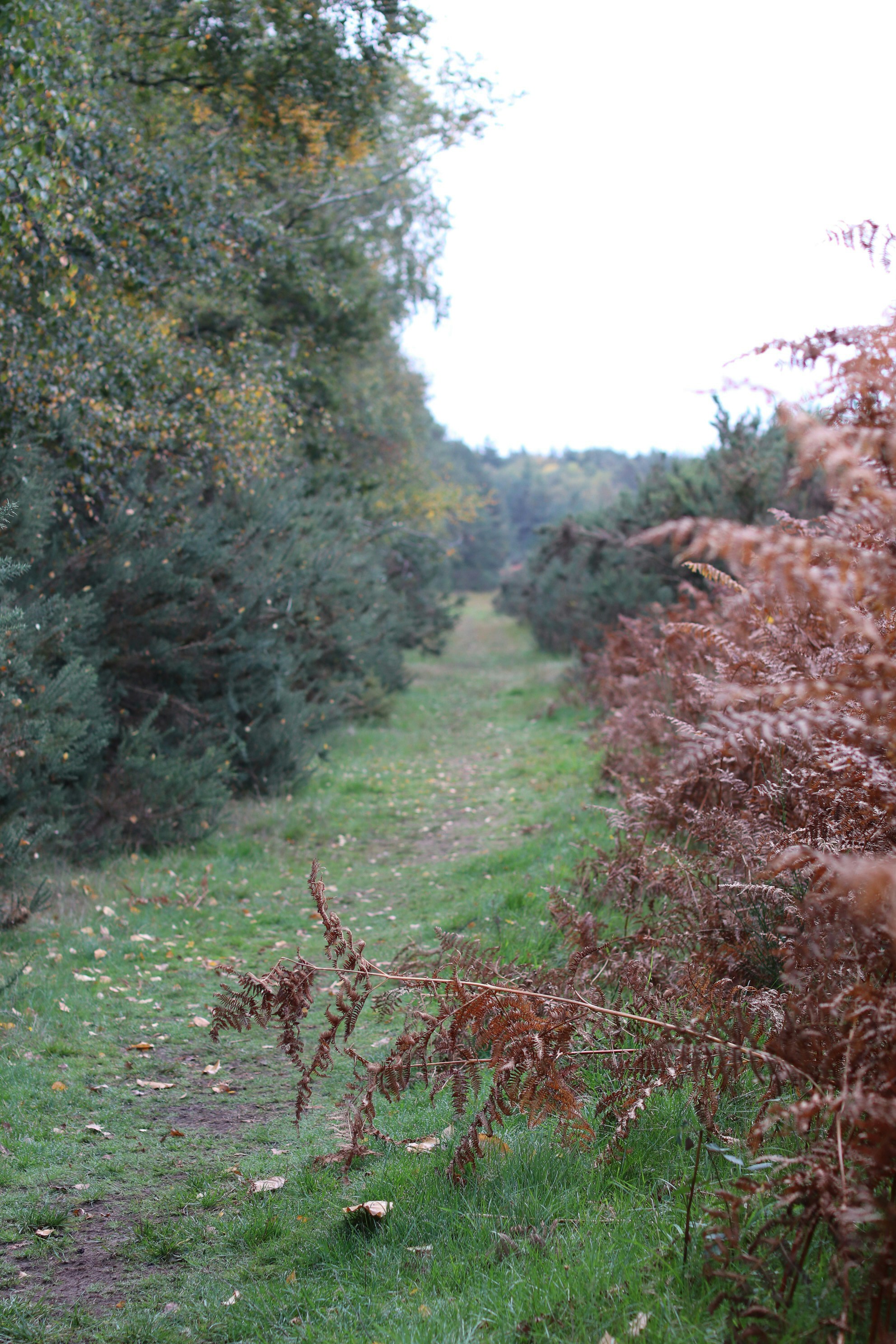 Photo by tanyabarrow