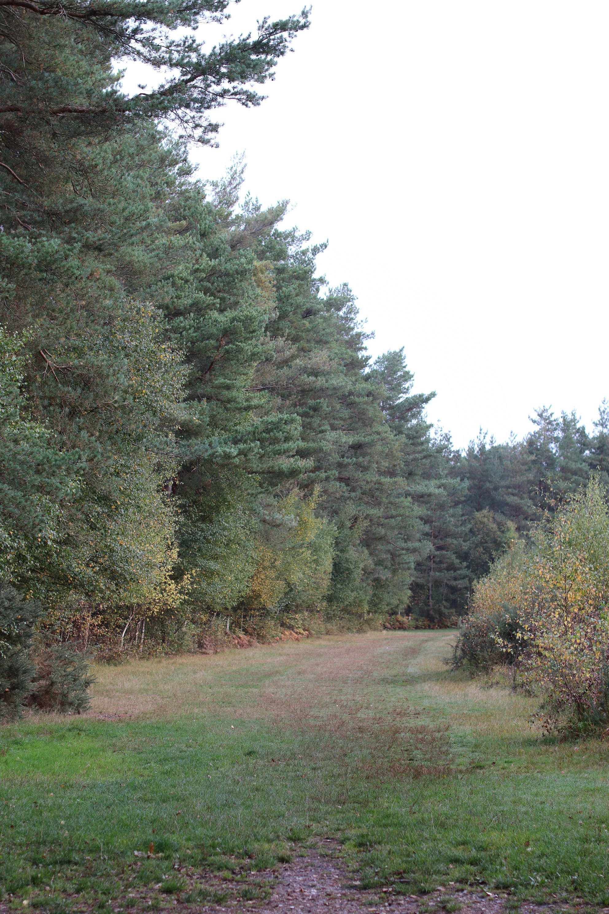 Photo by tanyabarrow