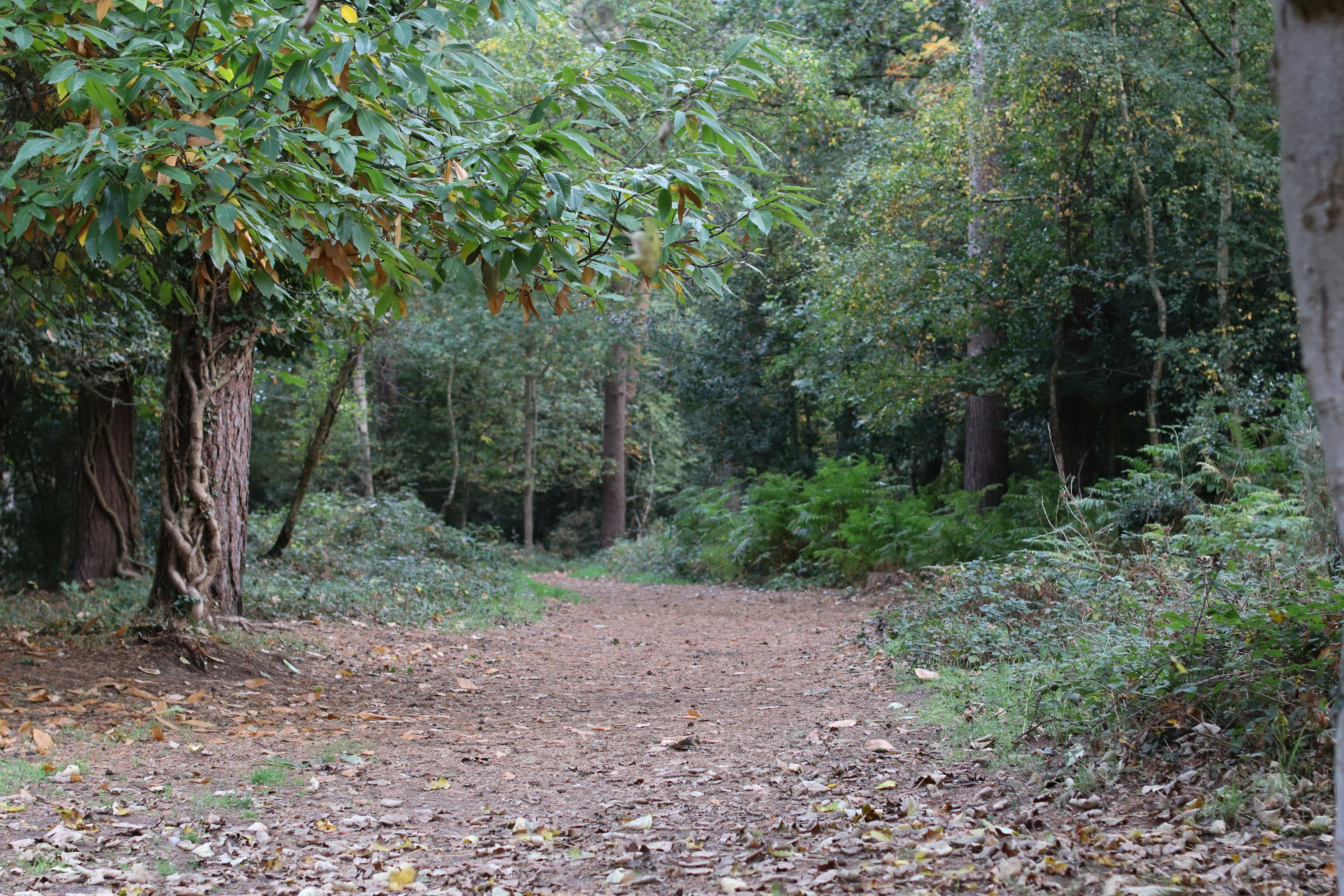 Photo by tanyabarrow