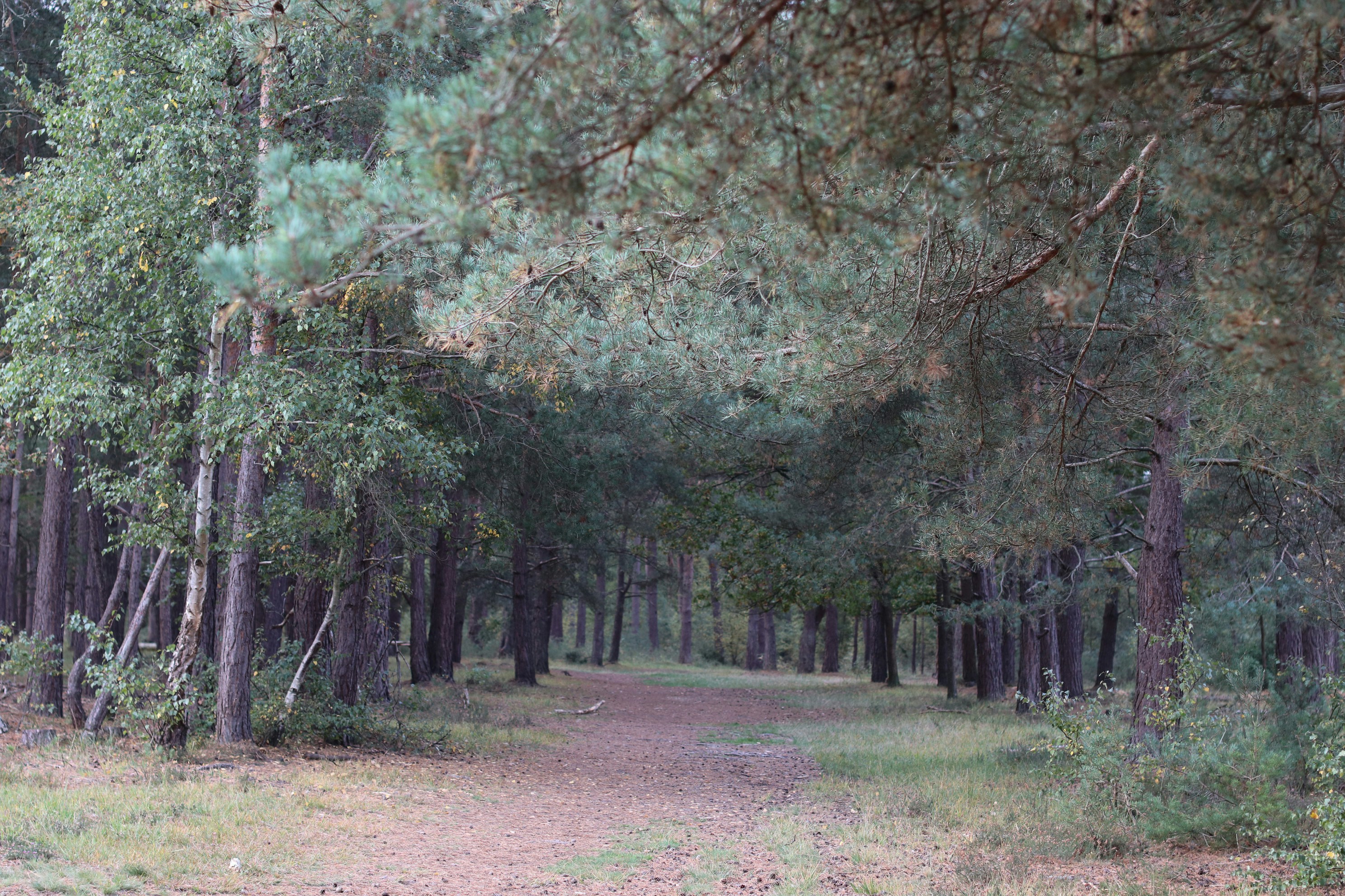 Photo by tanyabarrow