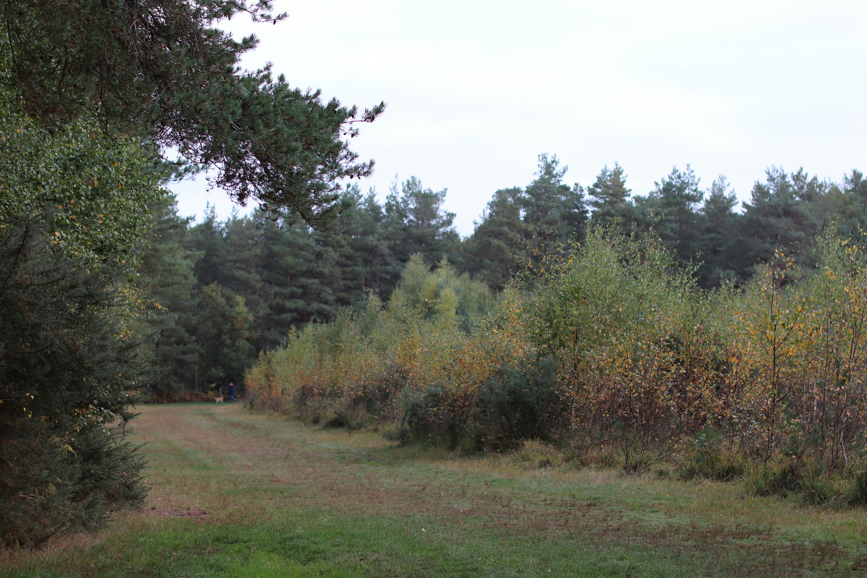 Photo by tanyabarrow