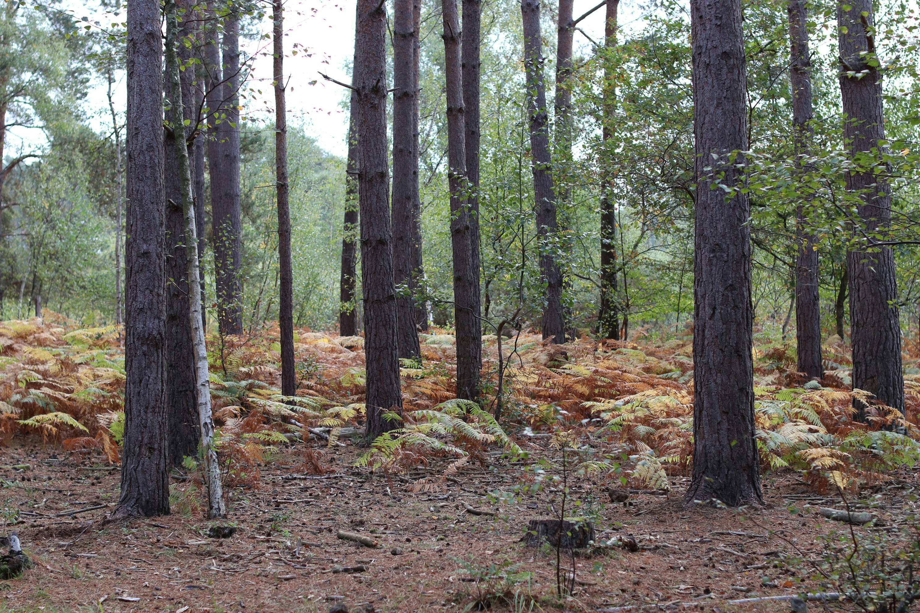 Photo by tanyabarrow