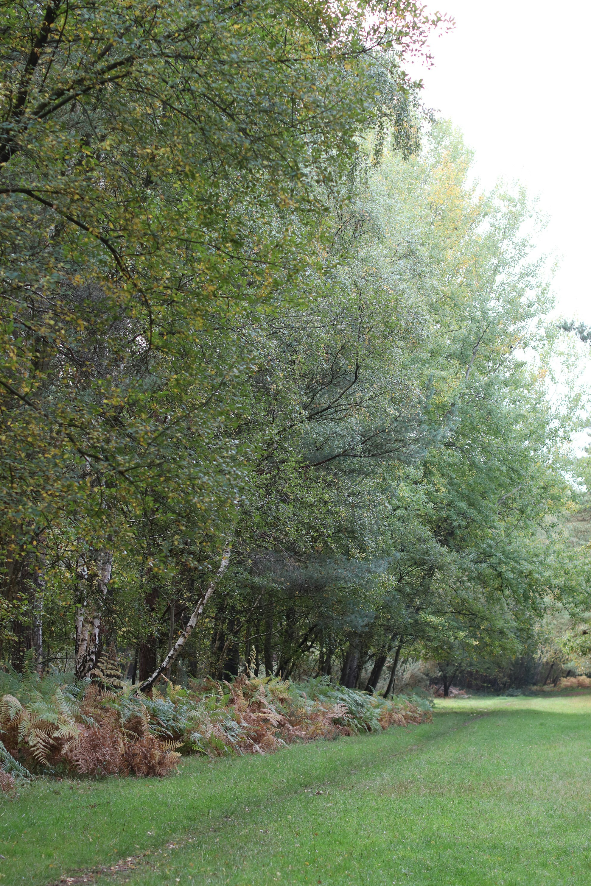 Photo by tanyabarrow