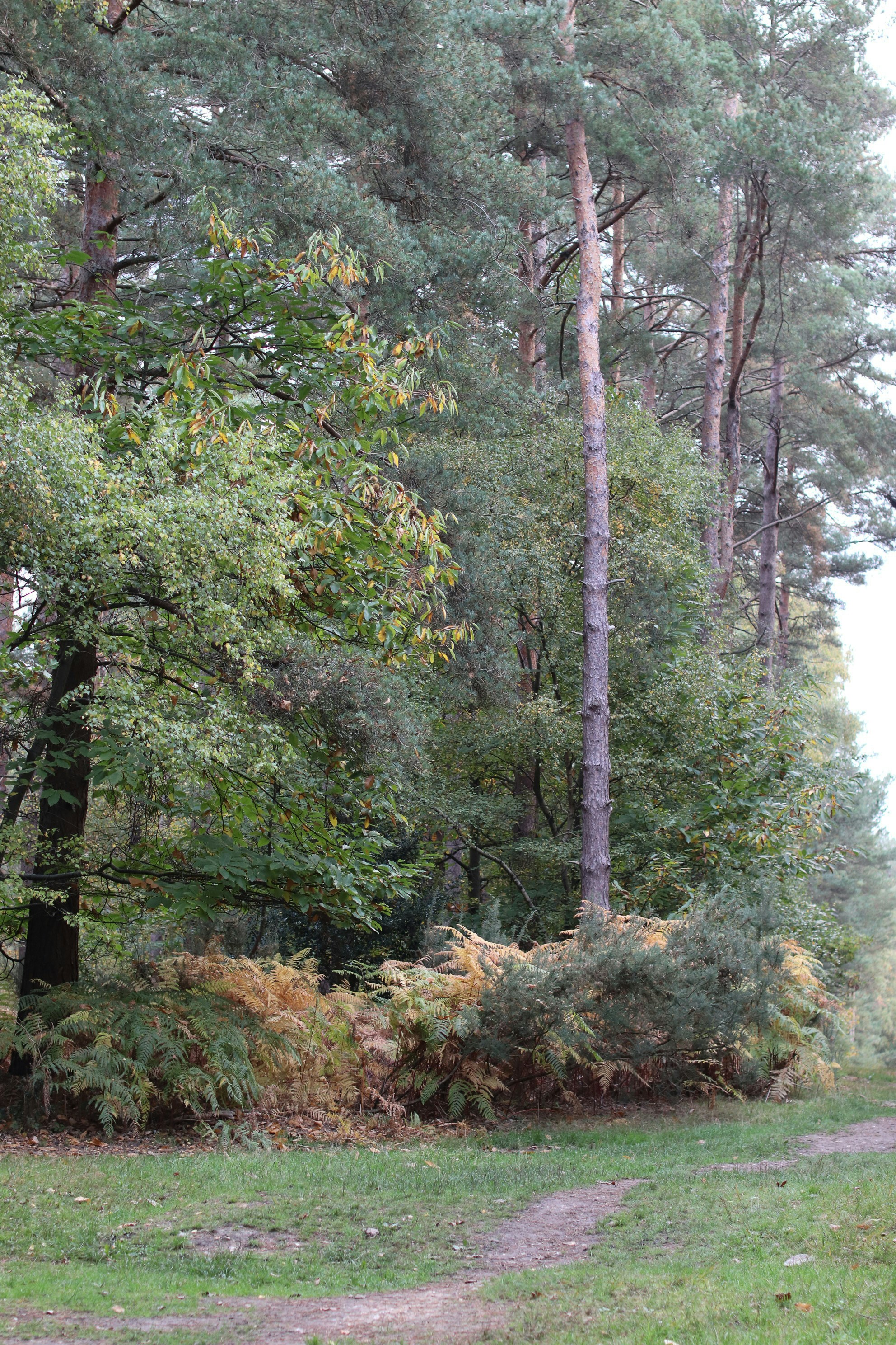 Photo by tanyabarrow