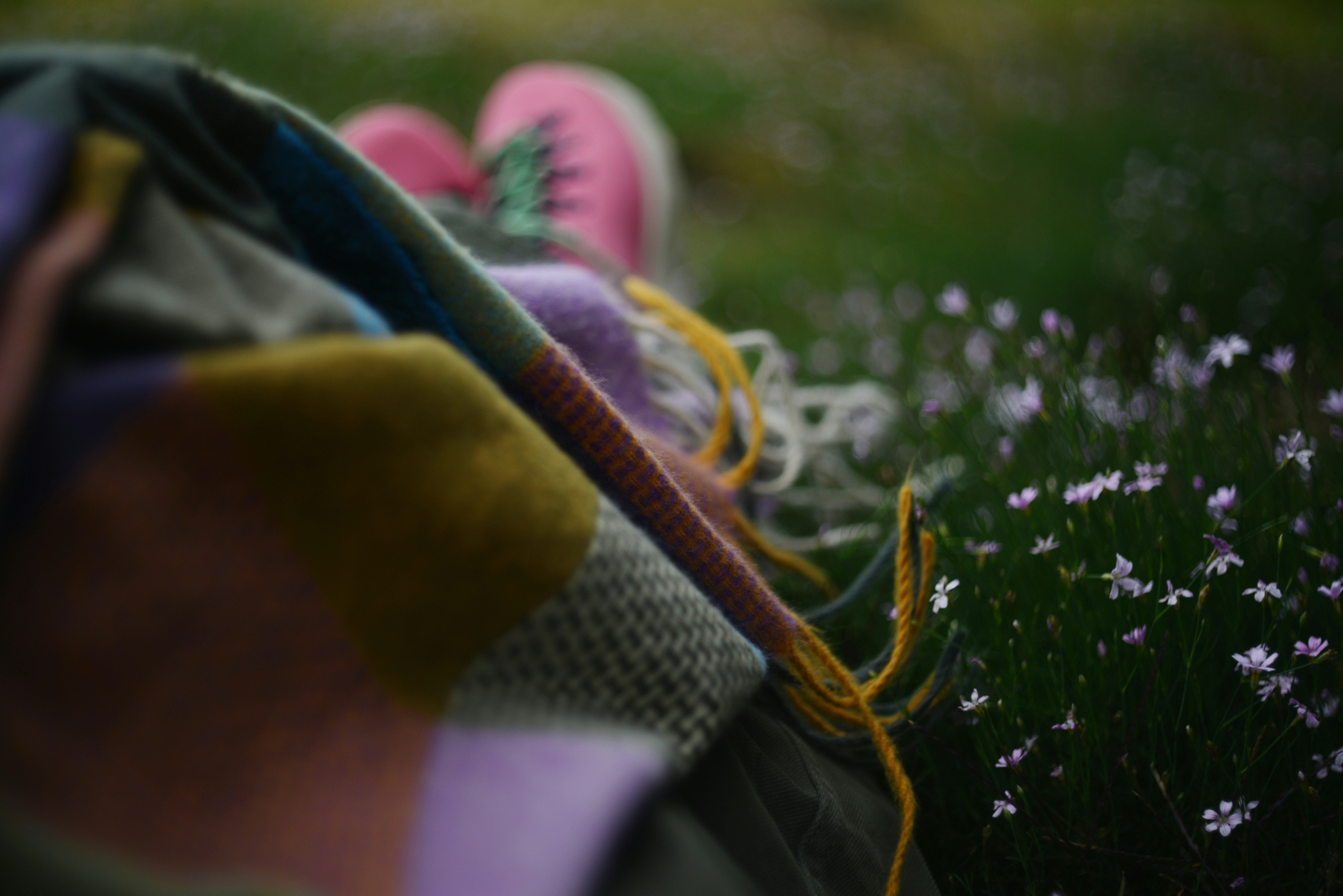 Person relaxing in a field of small flowers.