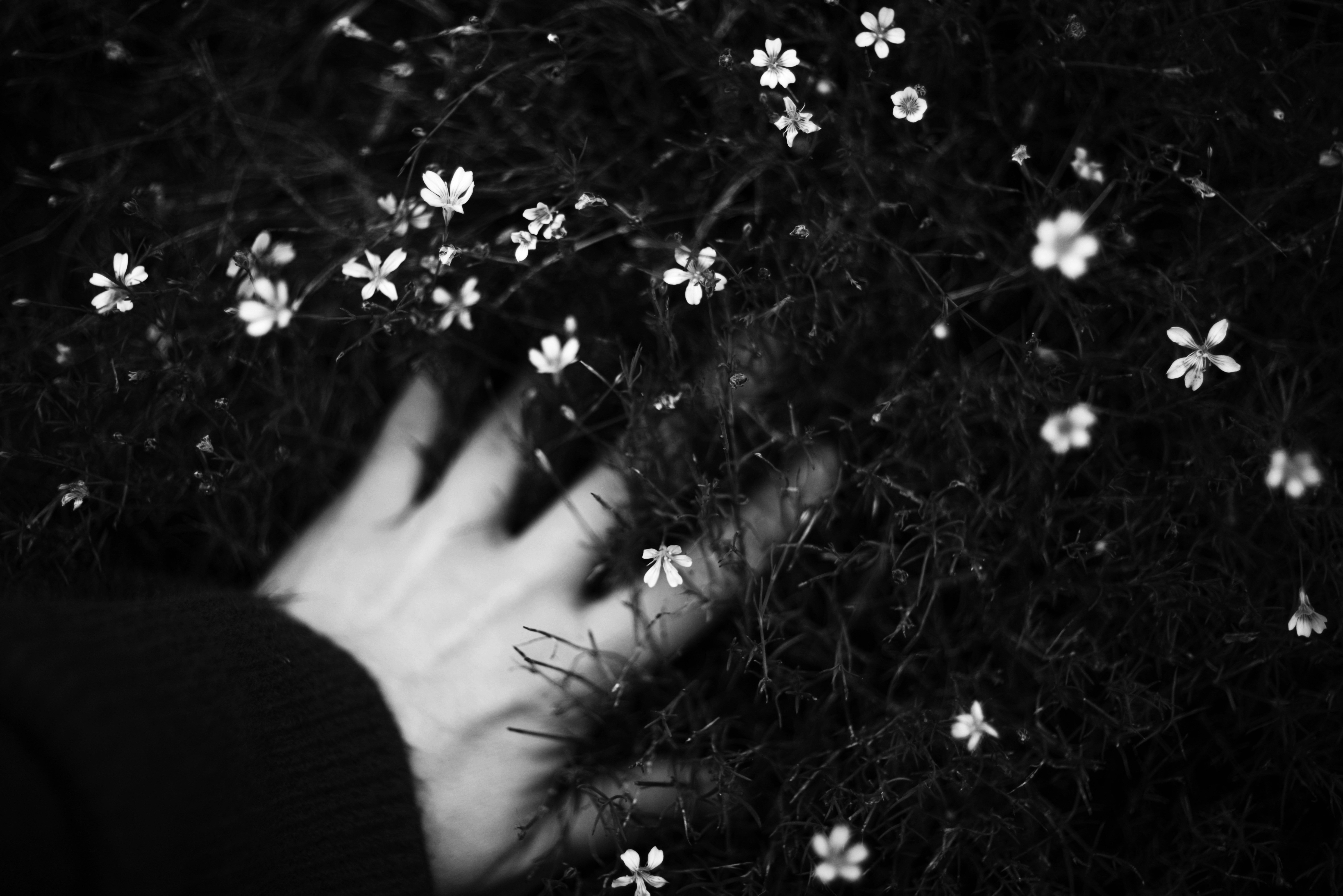 Photo by cherstve_pechivo