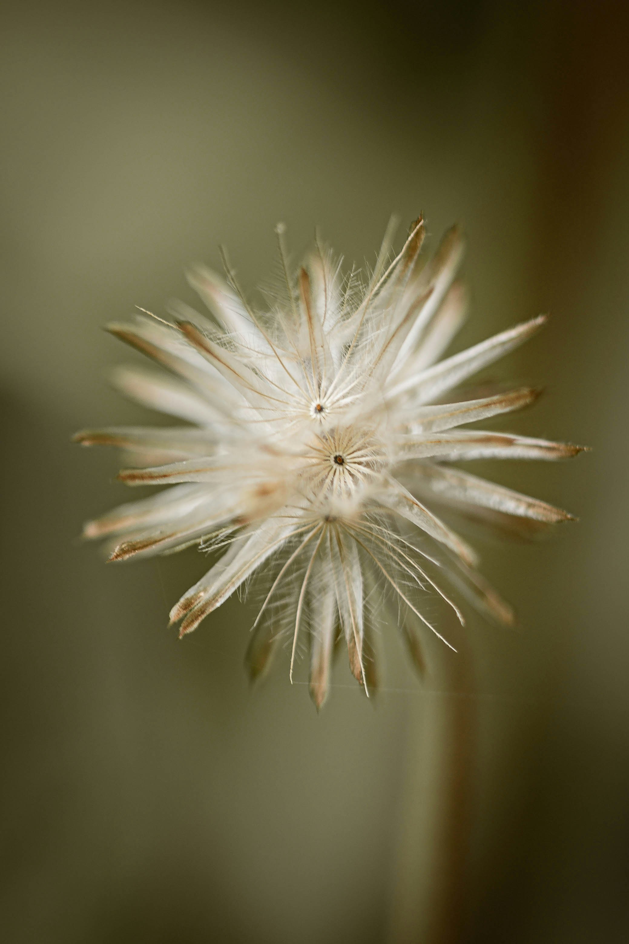 Photo by godwin_leones